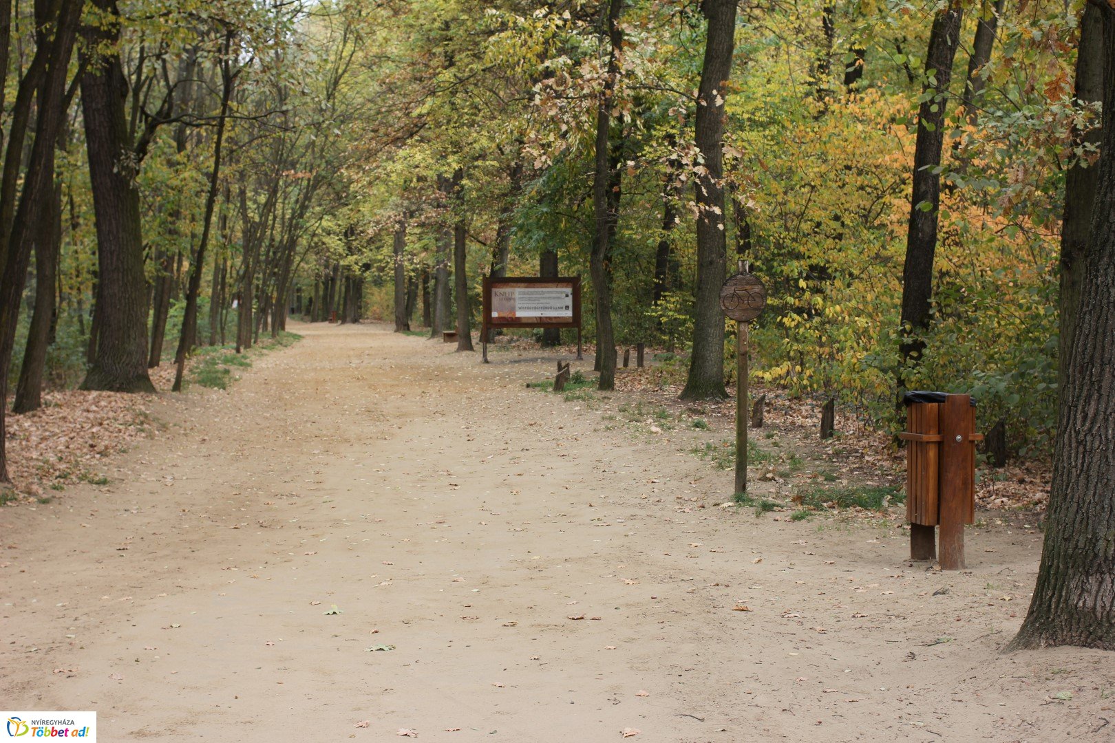 Így készült az Erdei sétány_5