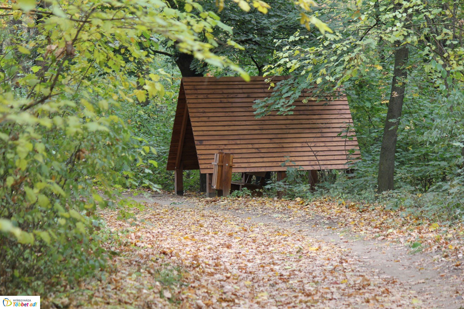 Így készült az Erdei sétány_5