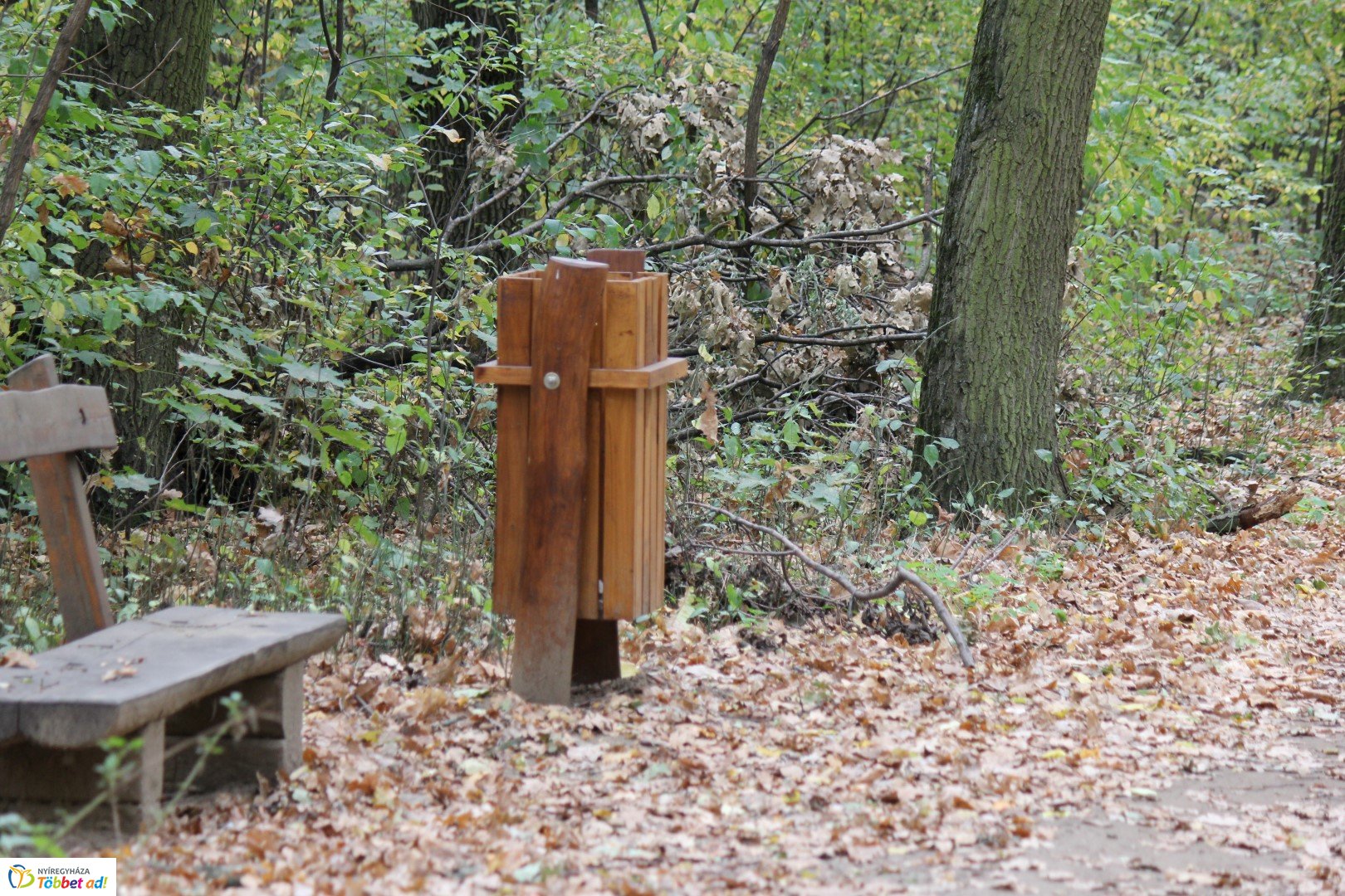 Így készült az Erdei sétány_5