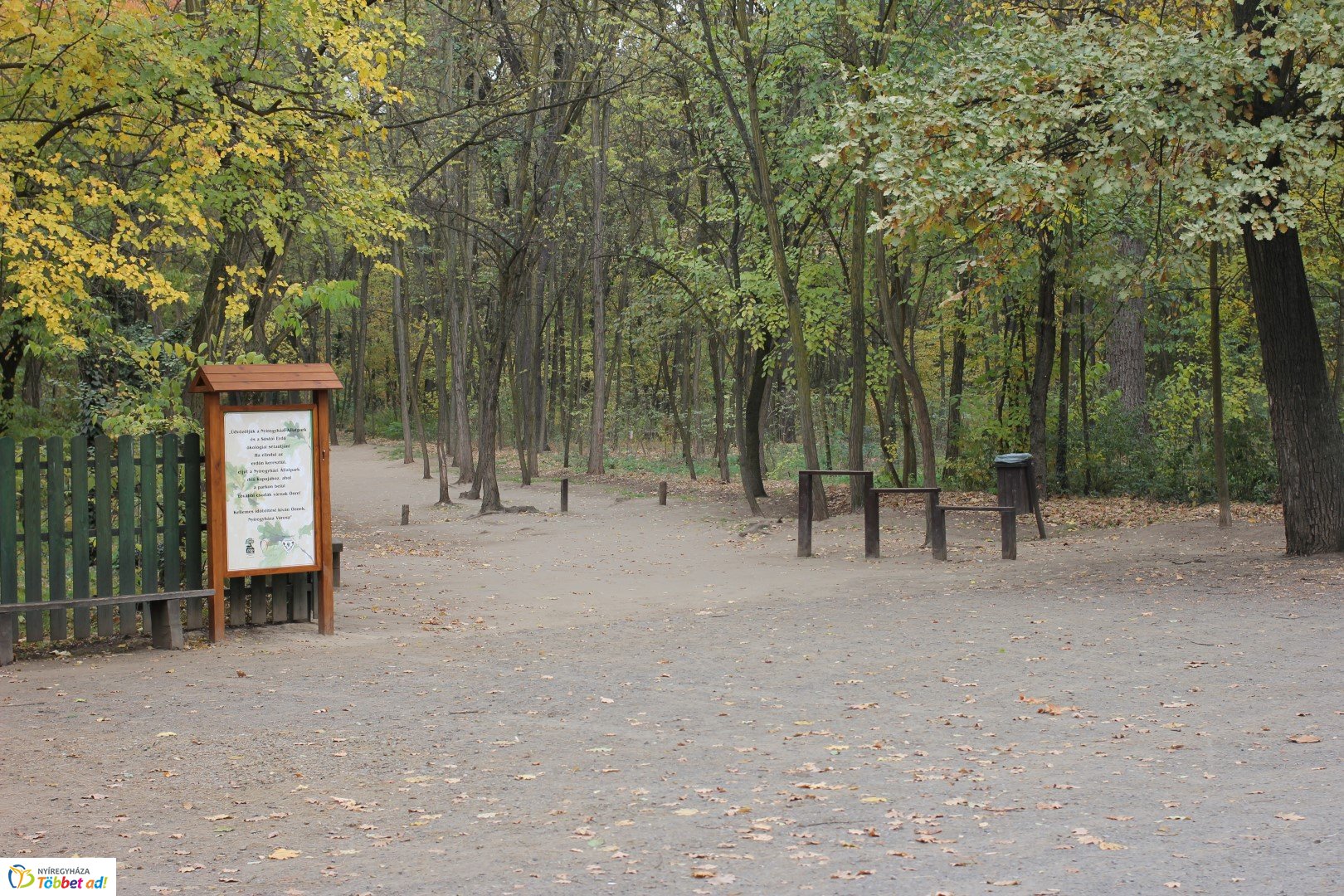 Így készült az Erdei sétány_5