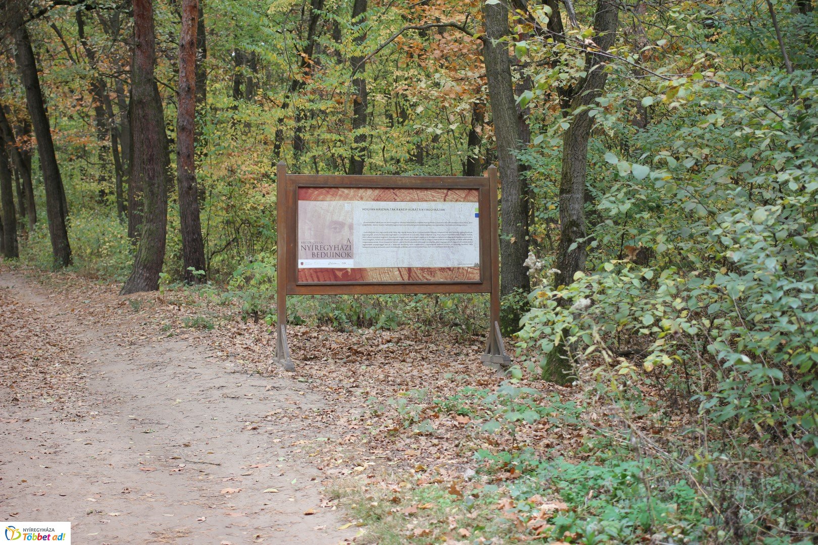 Így készült az Erdei sétány_5