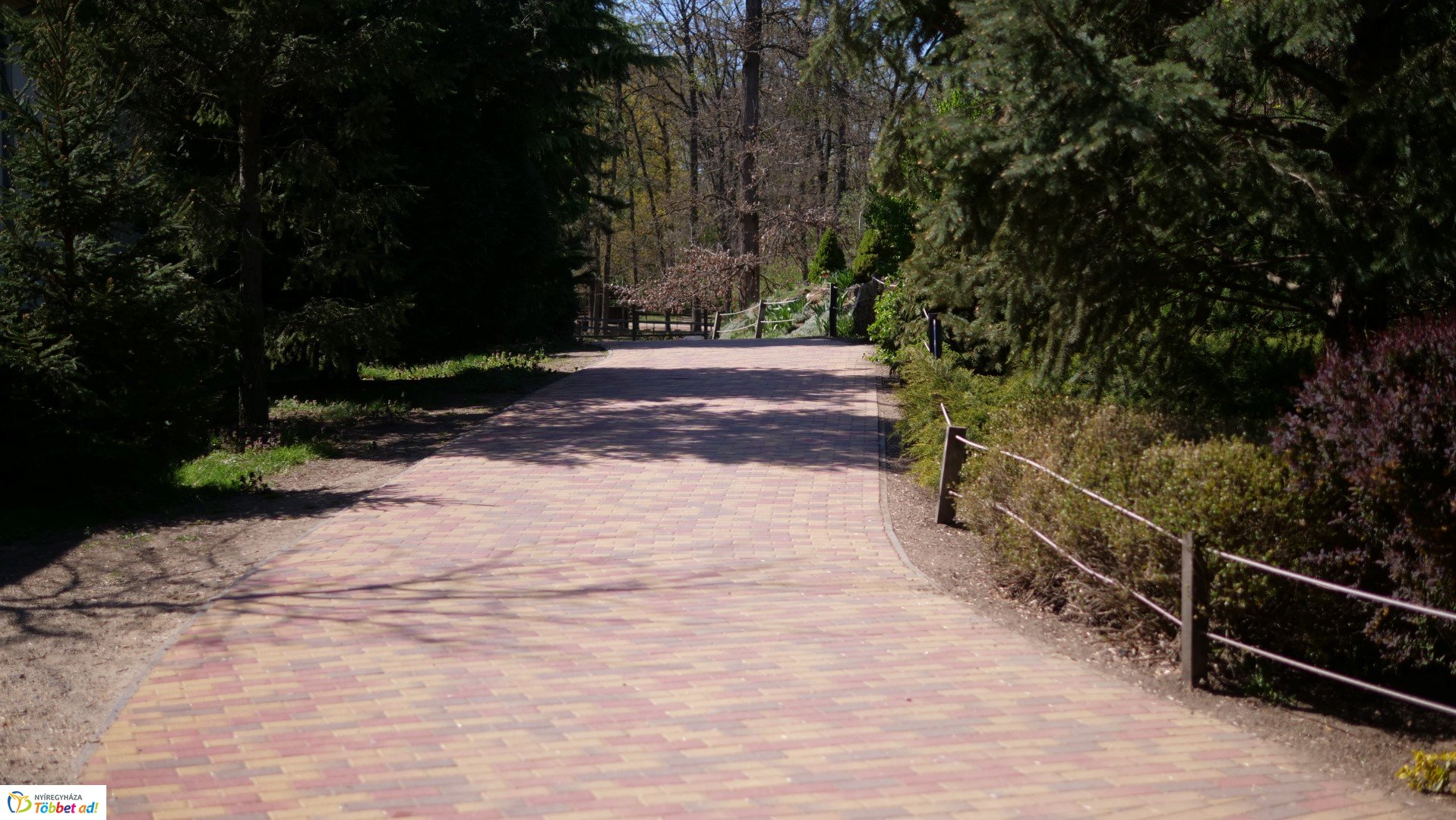 Így készült az Erdei sétány_6