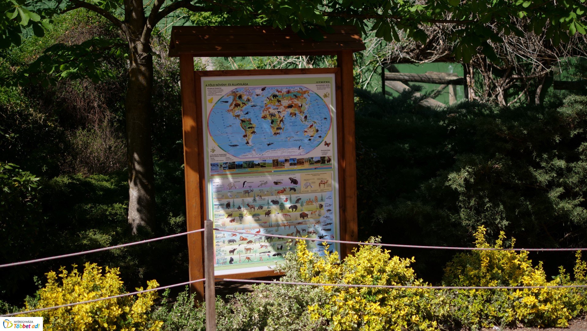 Így készült az Erdei sétány_6