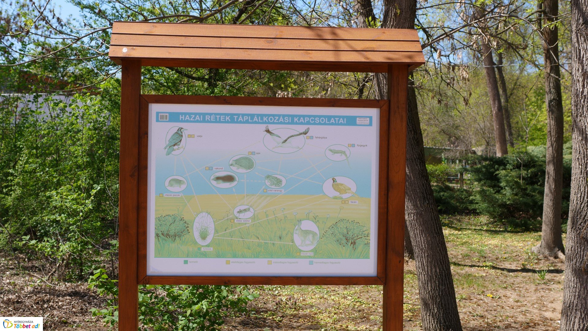 Így készült az Erdei sétány_6