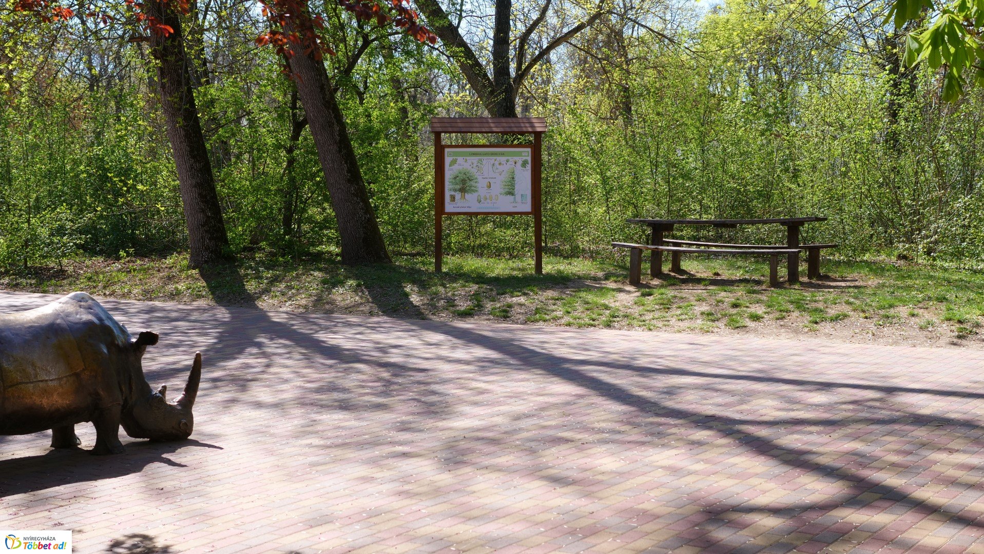 Így készült az Erdei sétány_6