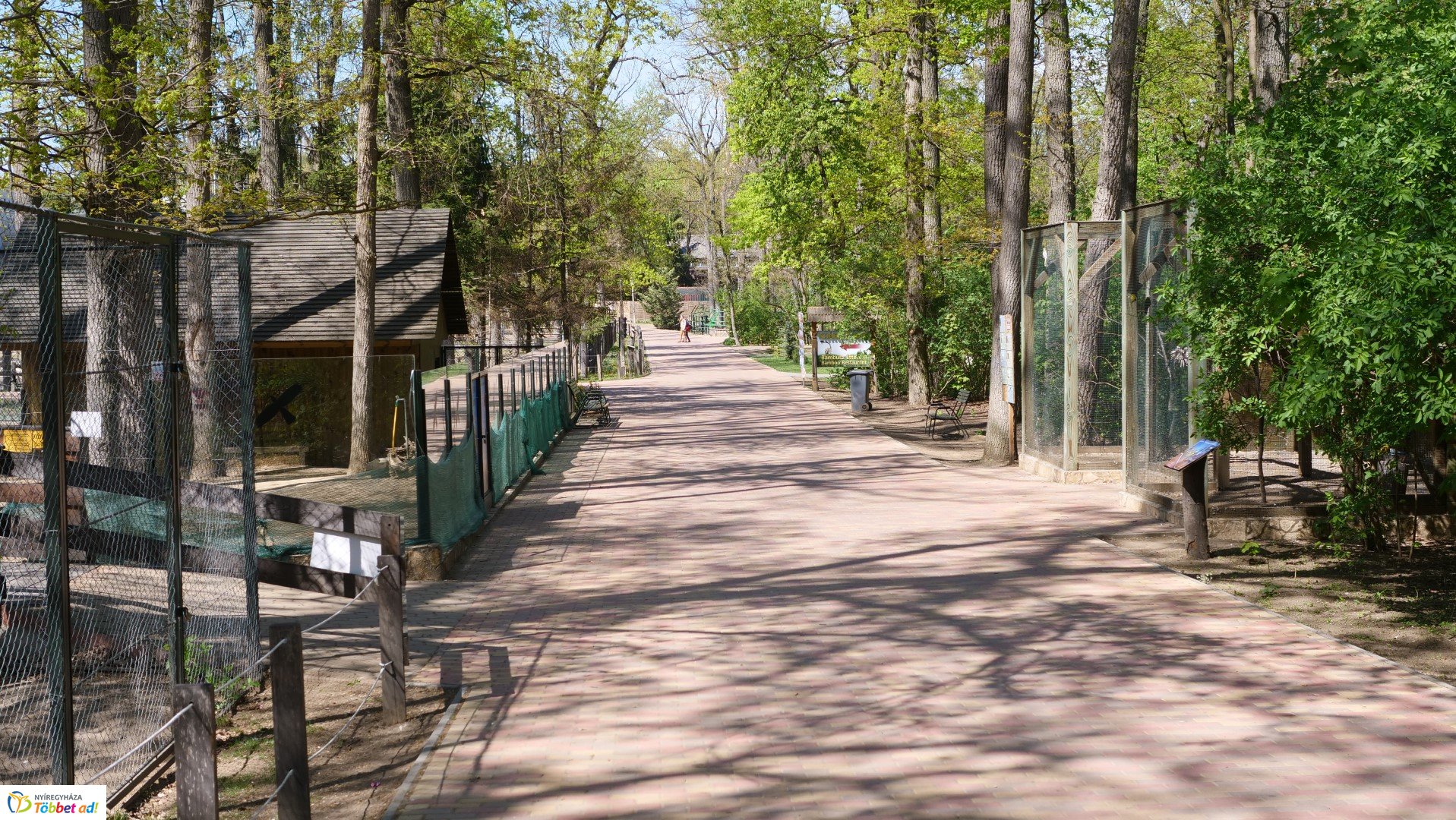 Így készült az Erdei sétány_6