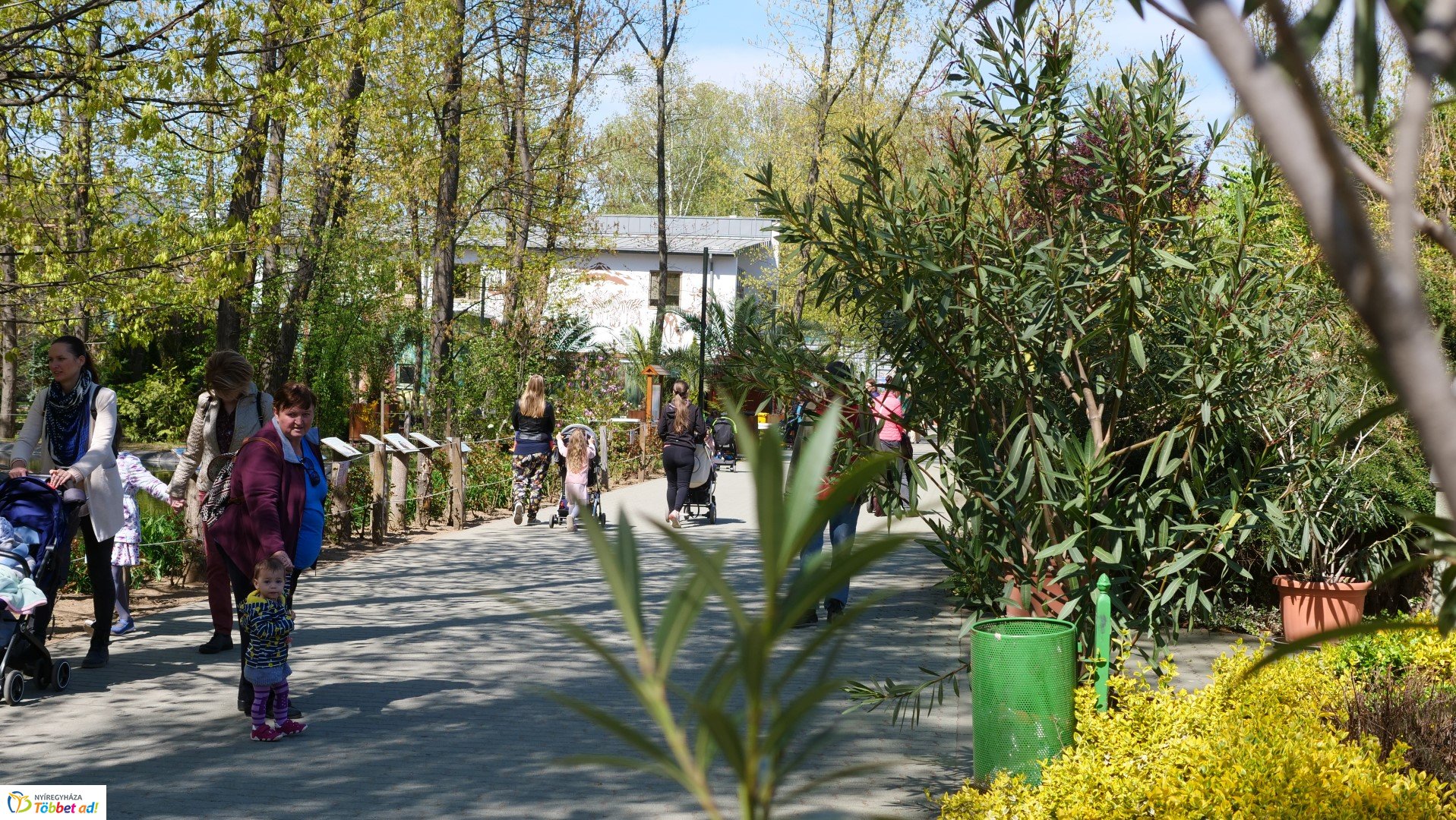 Így készült az Erdei sétány_6