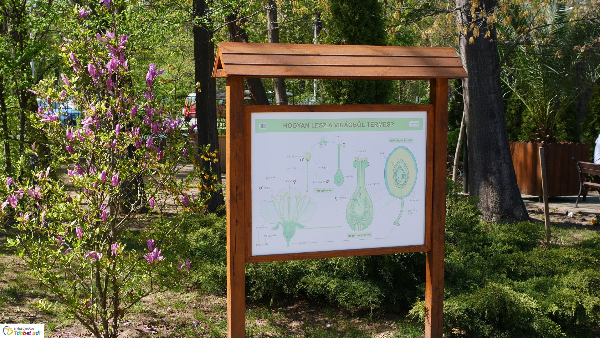 Így készült az Erdei sétány_6