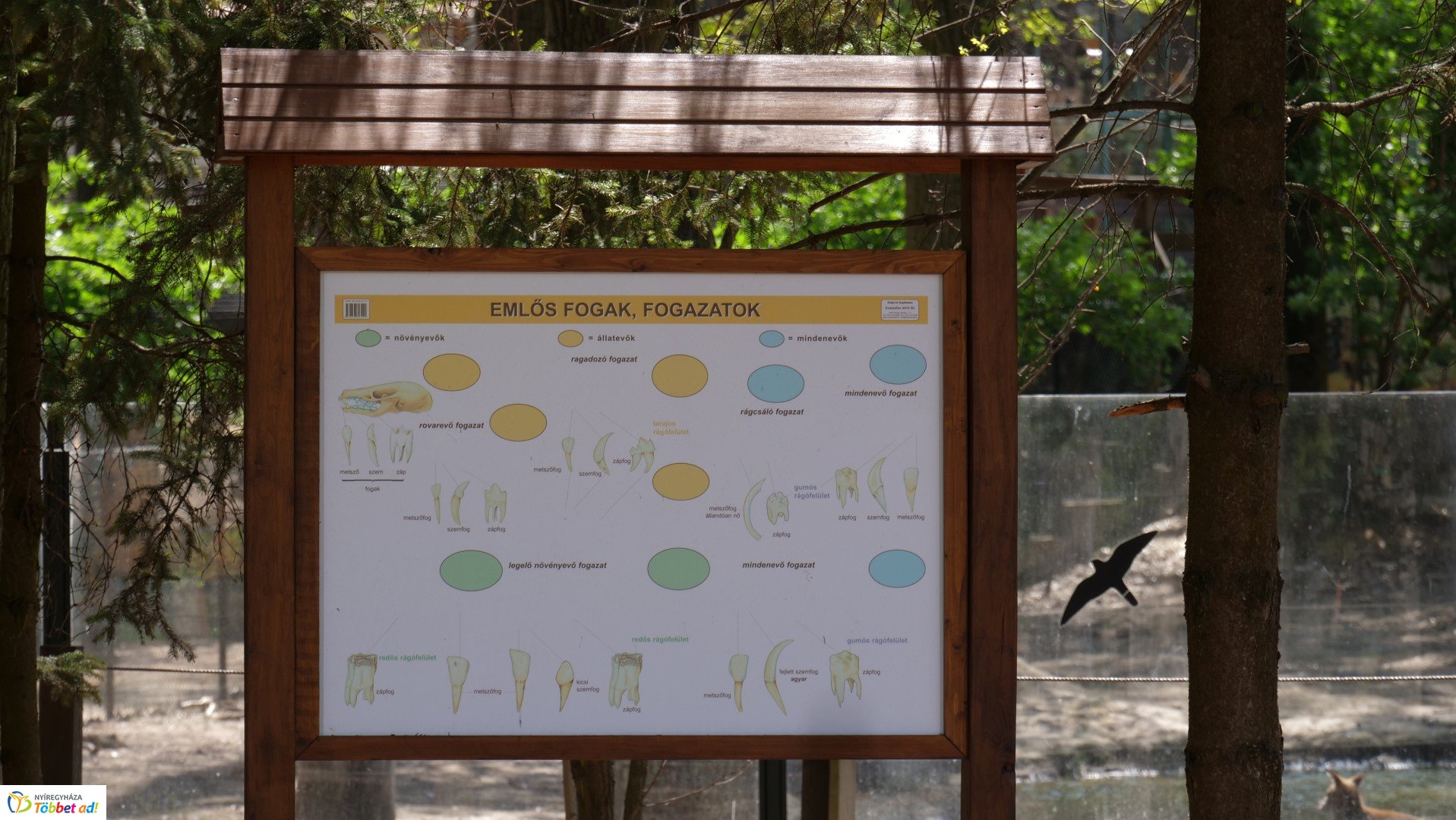 Így készült az Erdei sétány_6