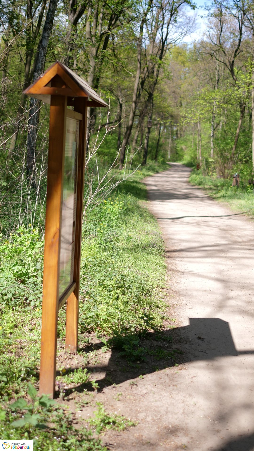 Így készült az Erdei sétány_6