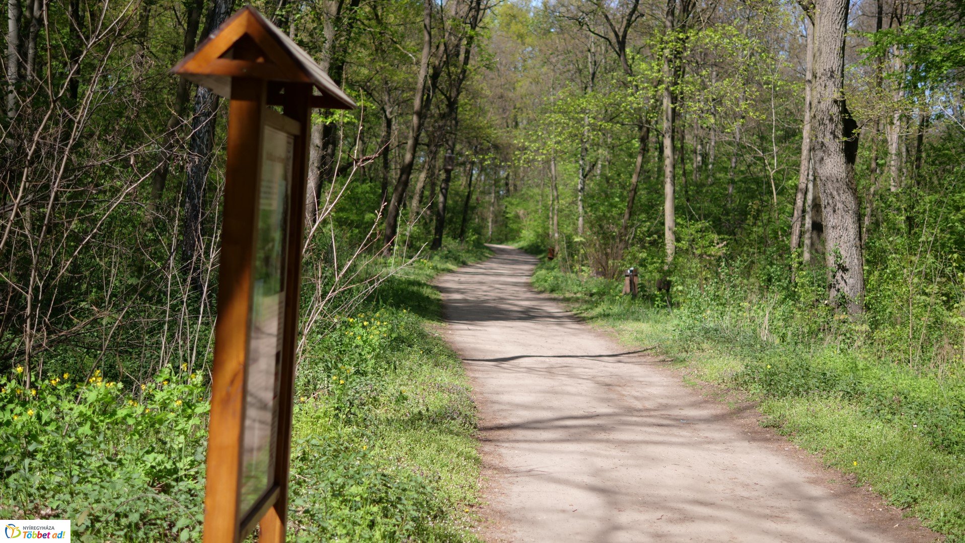 Így készült az Erdei sétány_6