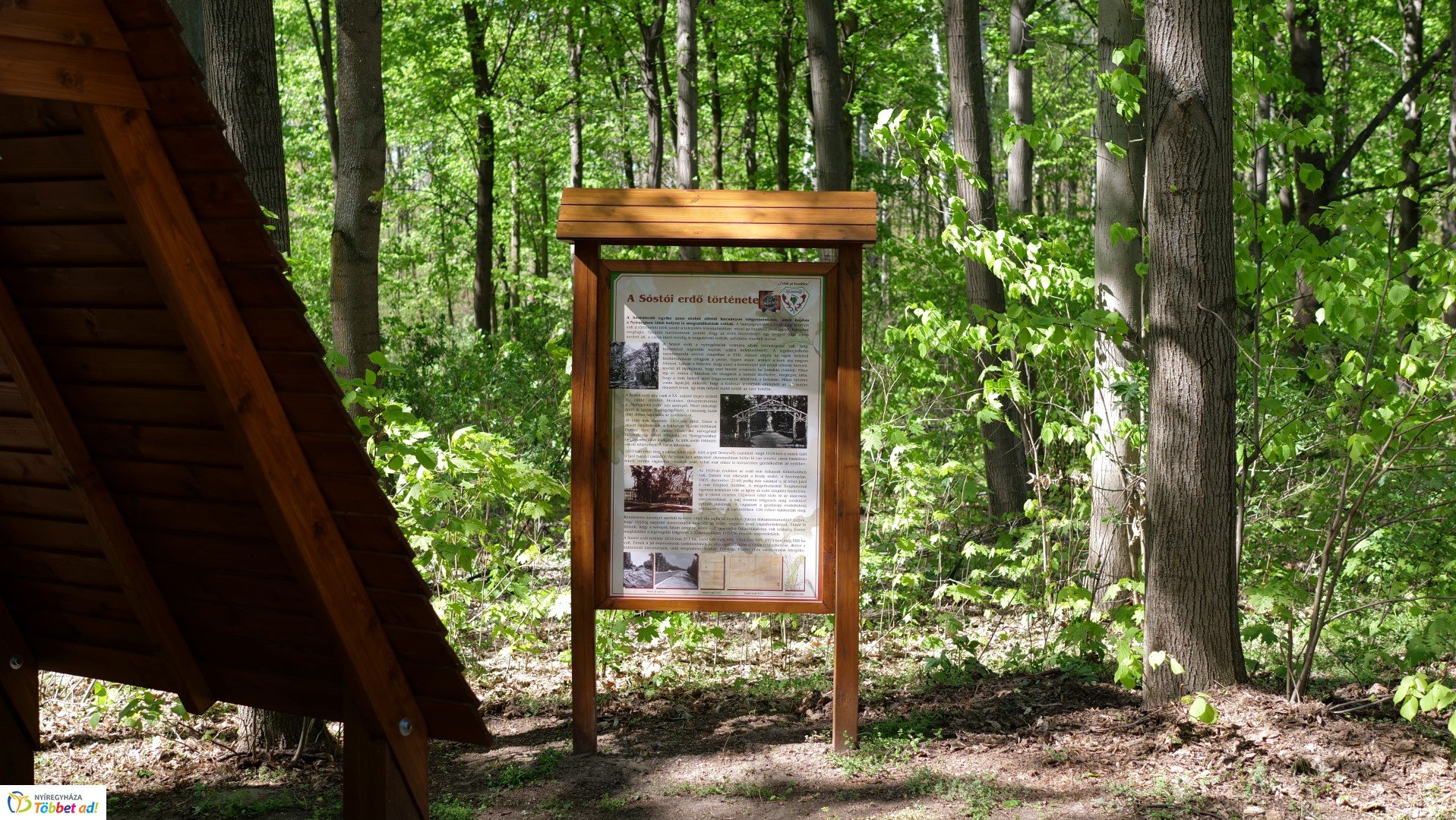 Így készült az Erdei sétány_6