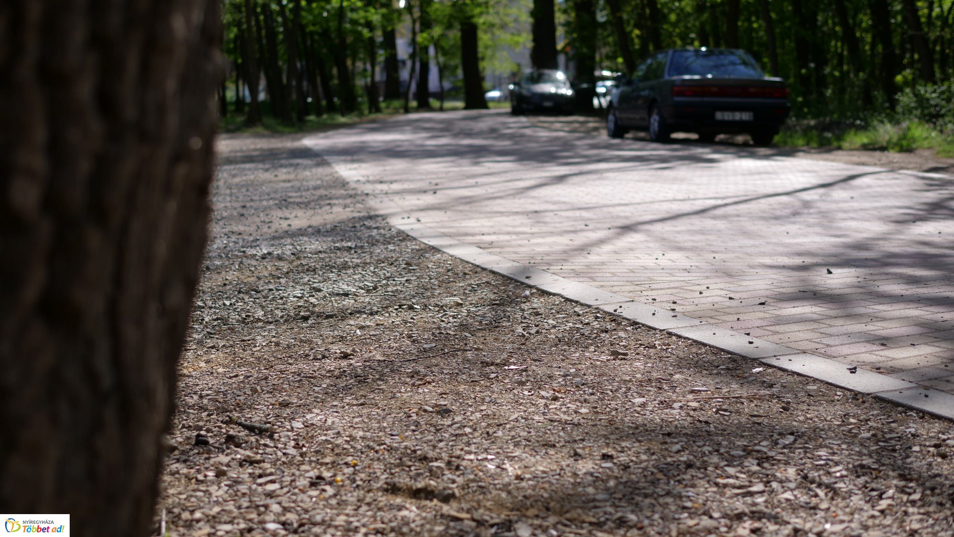 Így készült az Erdei sétány_6