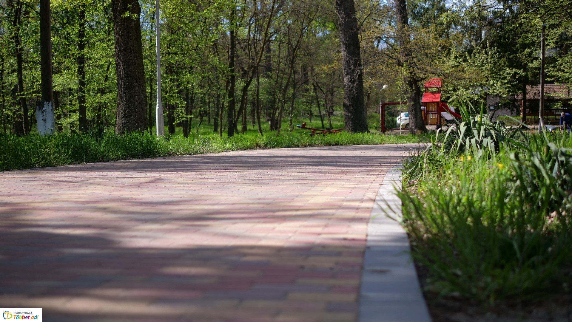 Így készült az Erdei sétány_6