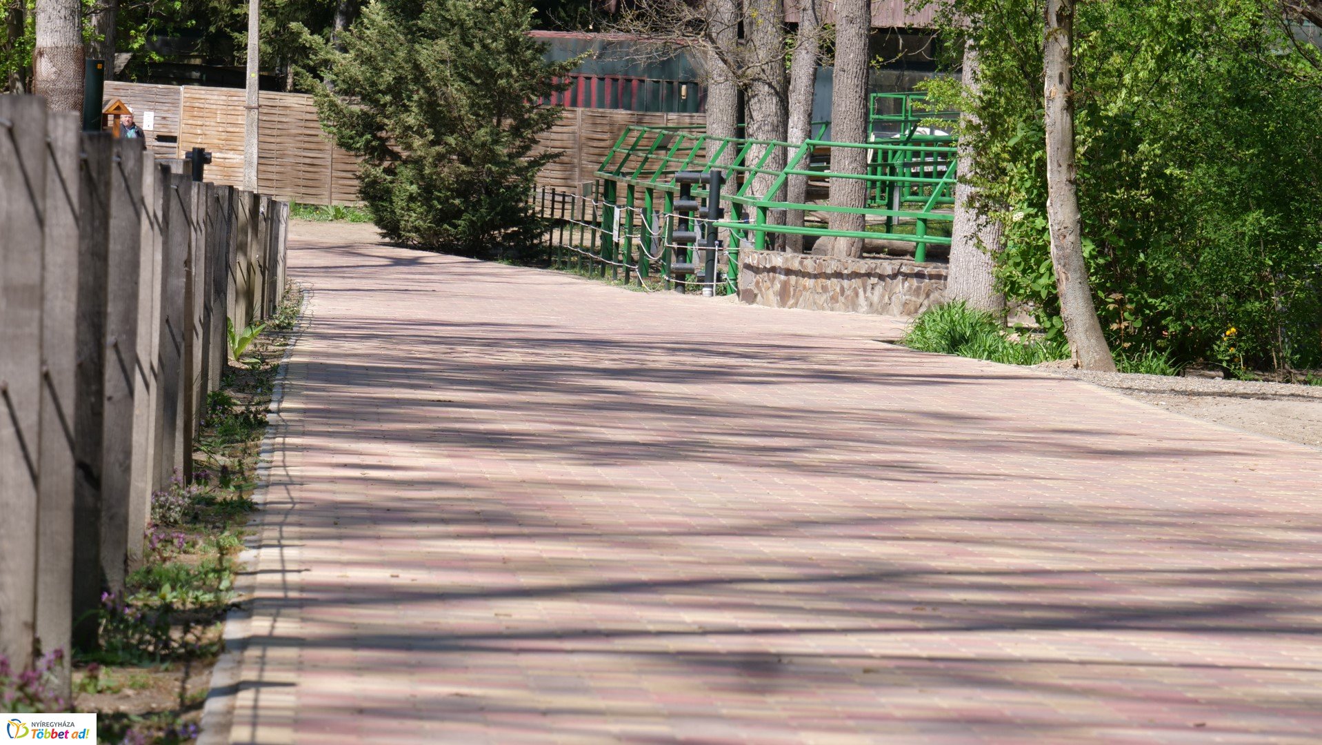 Így készült az Erdei sétány_6