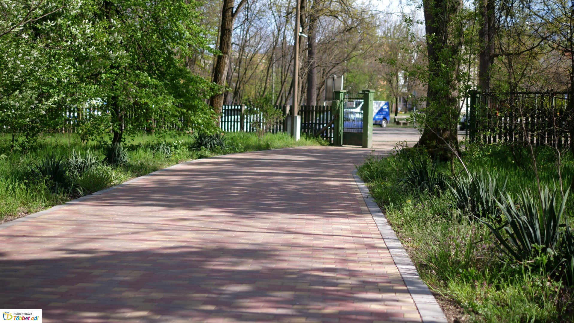 Így készült az Erdei sétány_6