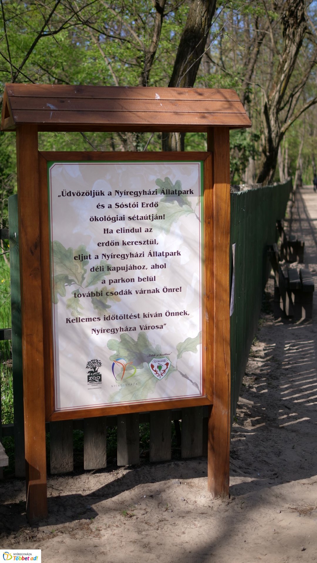 Így készült az Erdei sétány_6