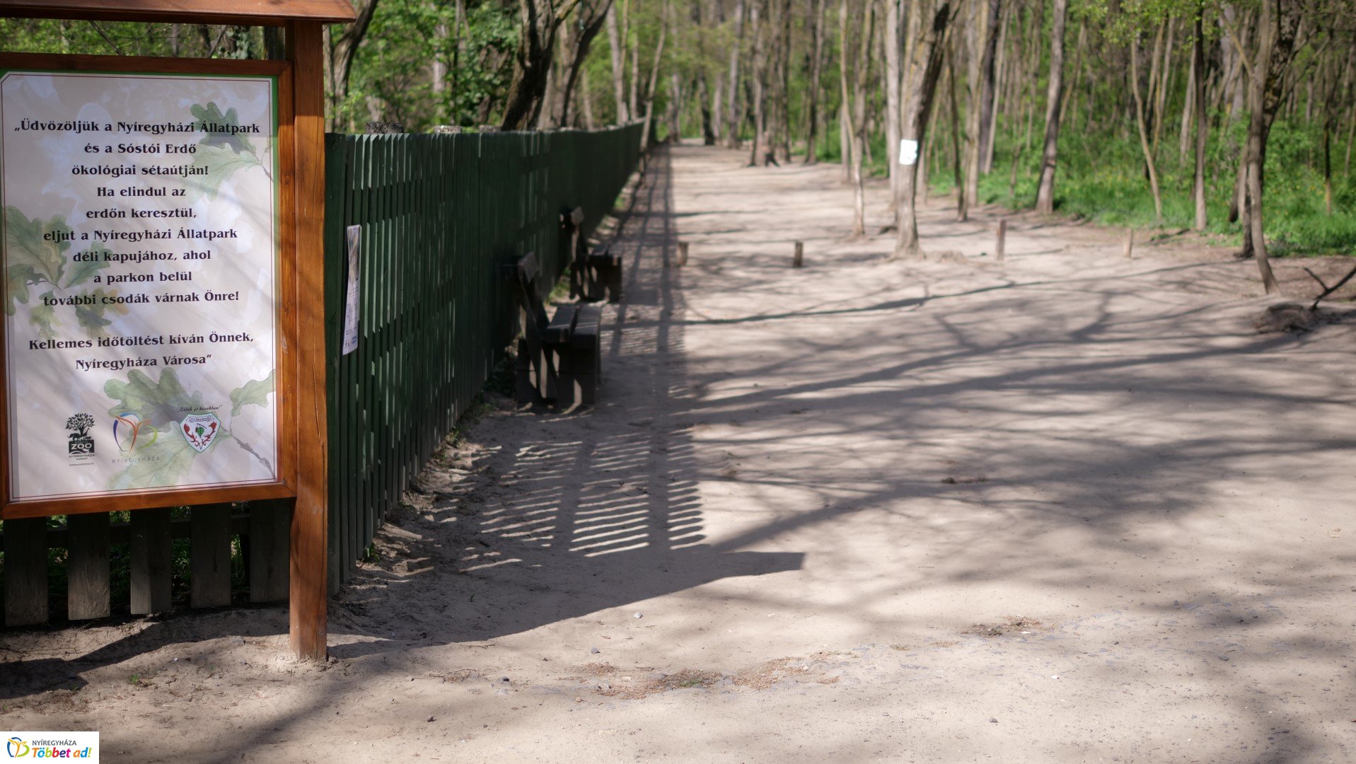 Így készült az Erdei sétány_6