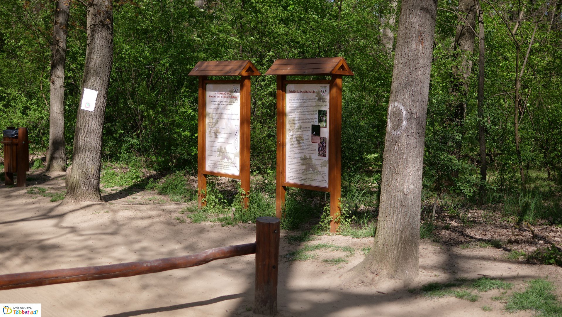 Így készült az Erdei sétány_6