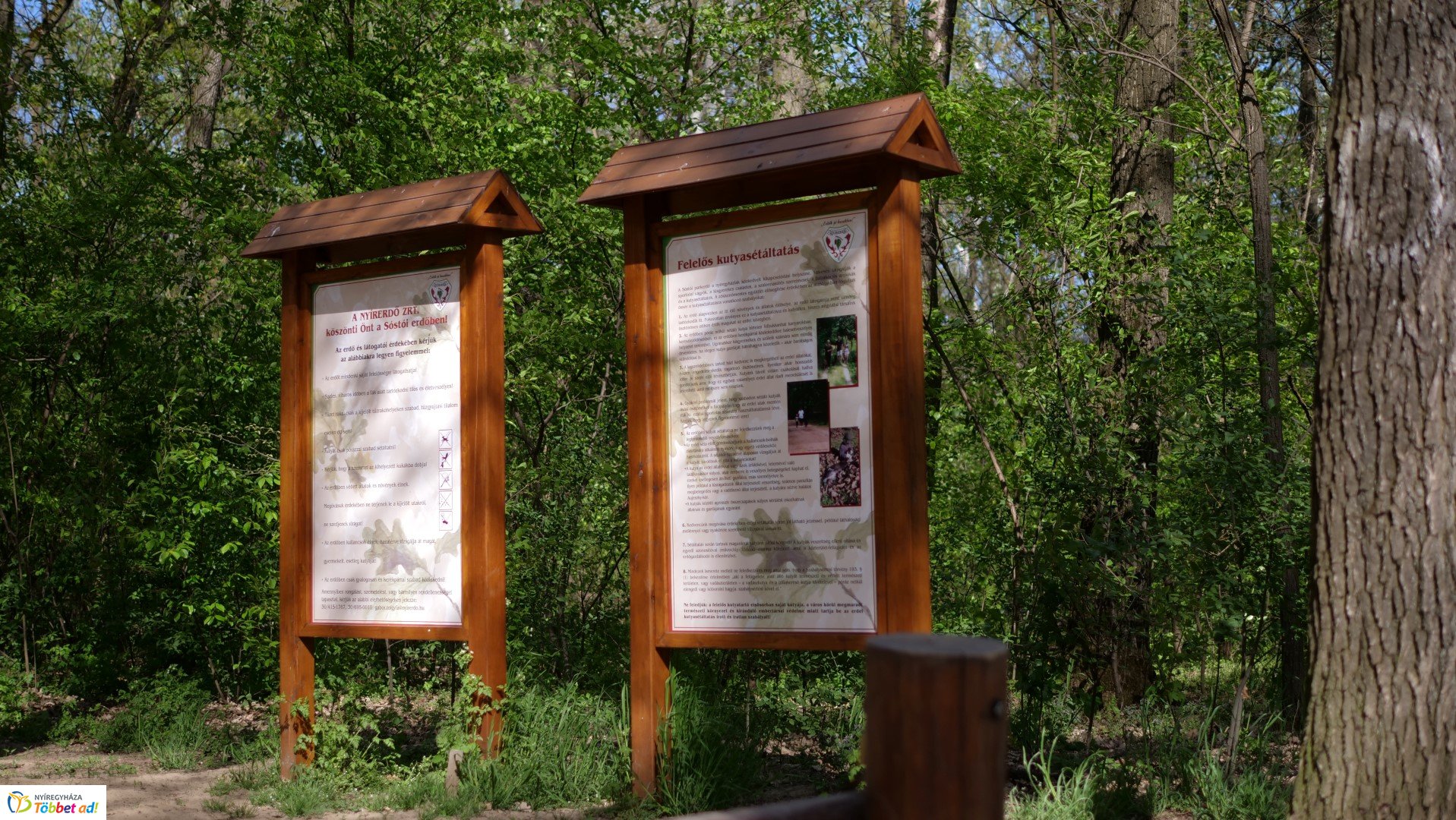 Így készült az Erdei sétány_6