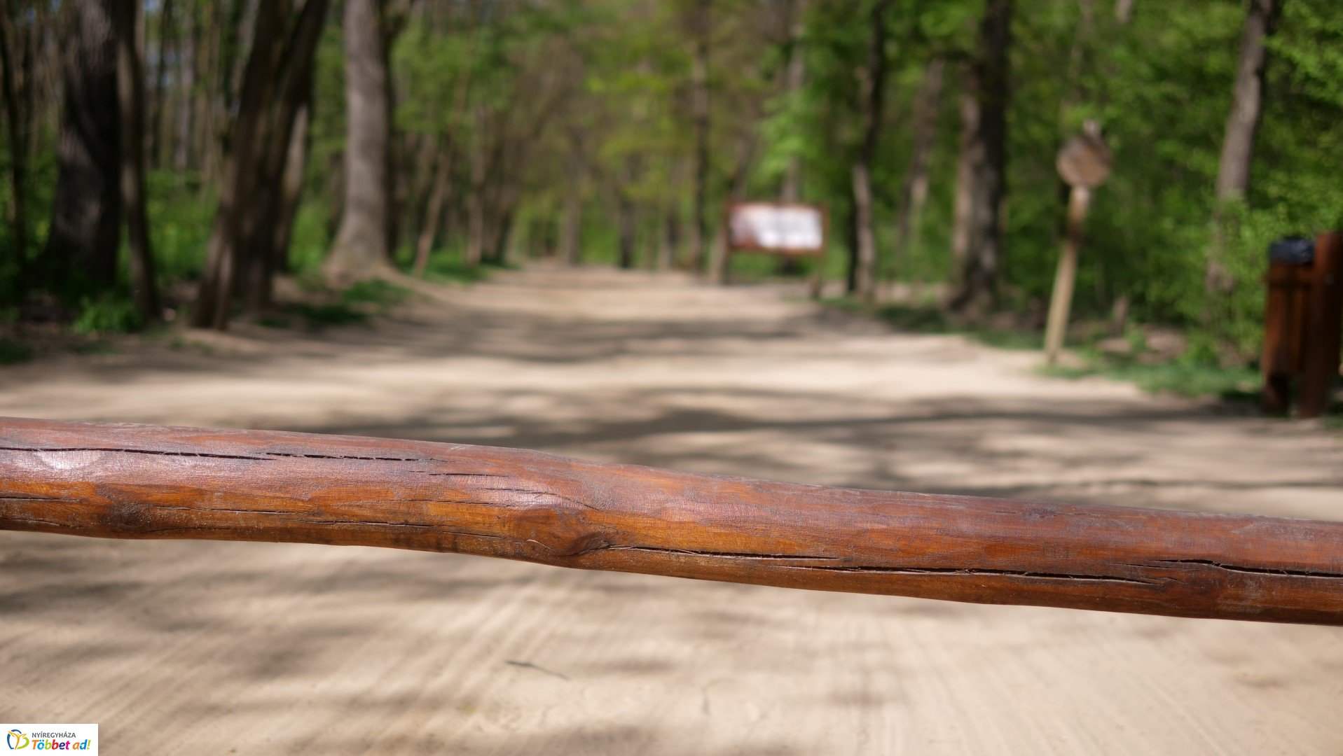 Így készült az Erdei sétány_6