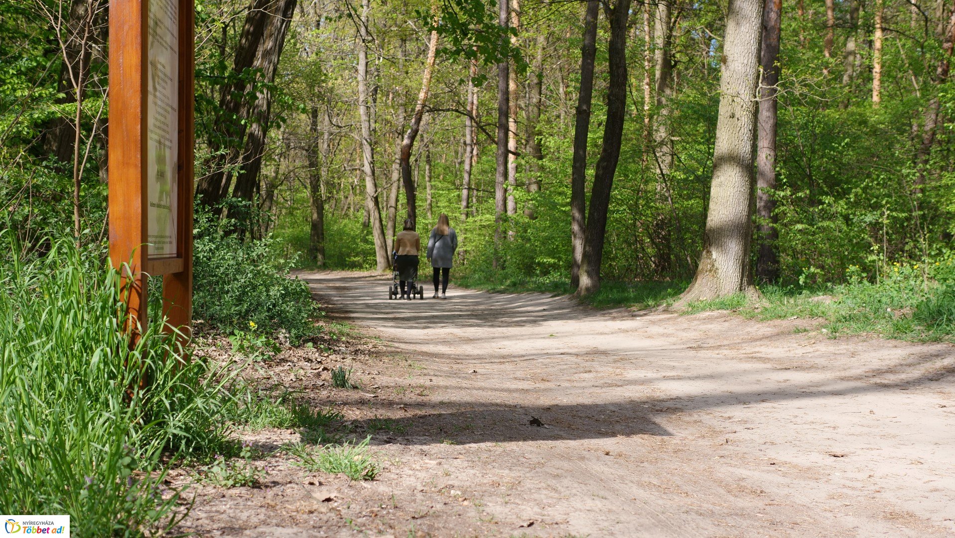 Így készült az Erdei sétány_6