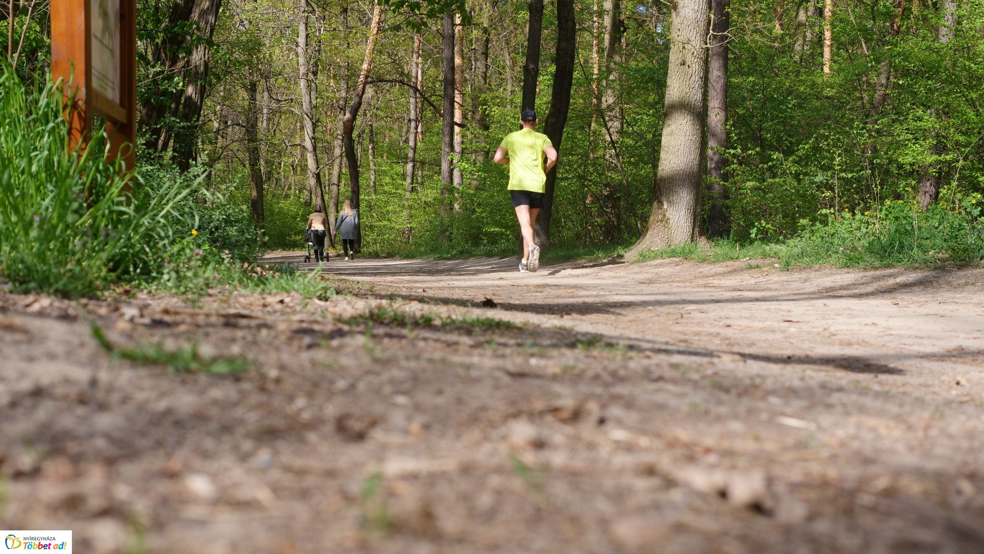 Így készült az Erdei sétány_6