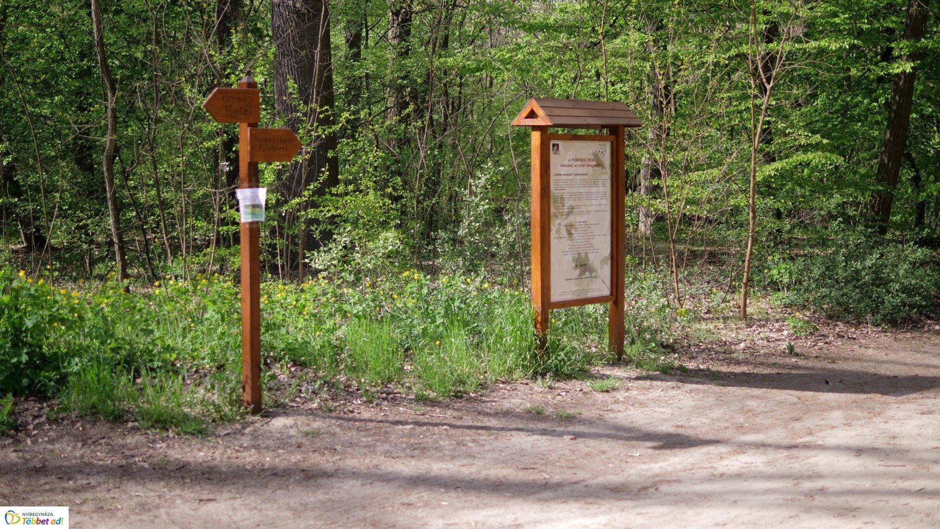 Így készült az Erdei sétány_6