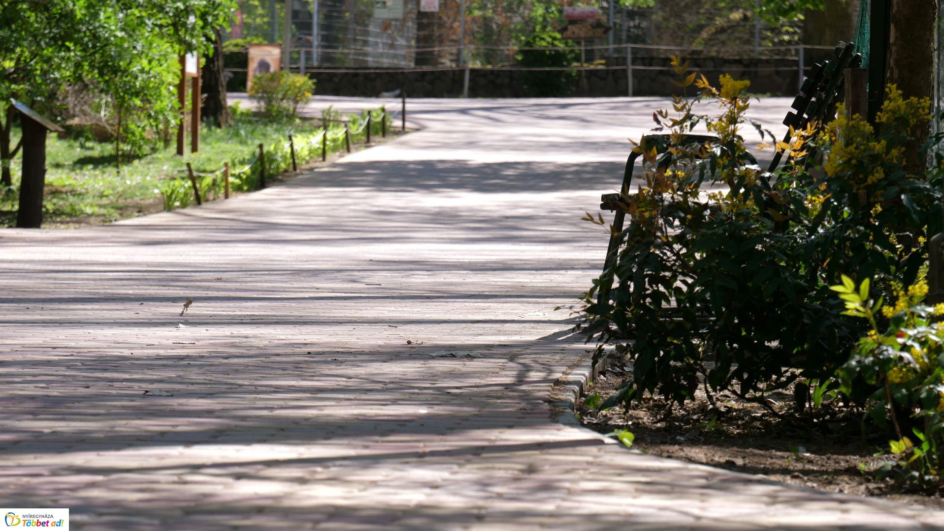 Így készült az Erdei sétány_6