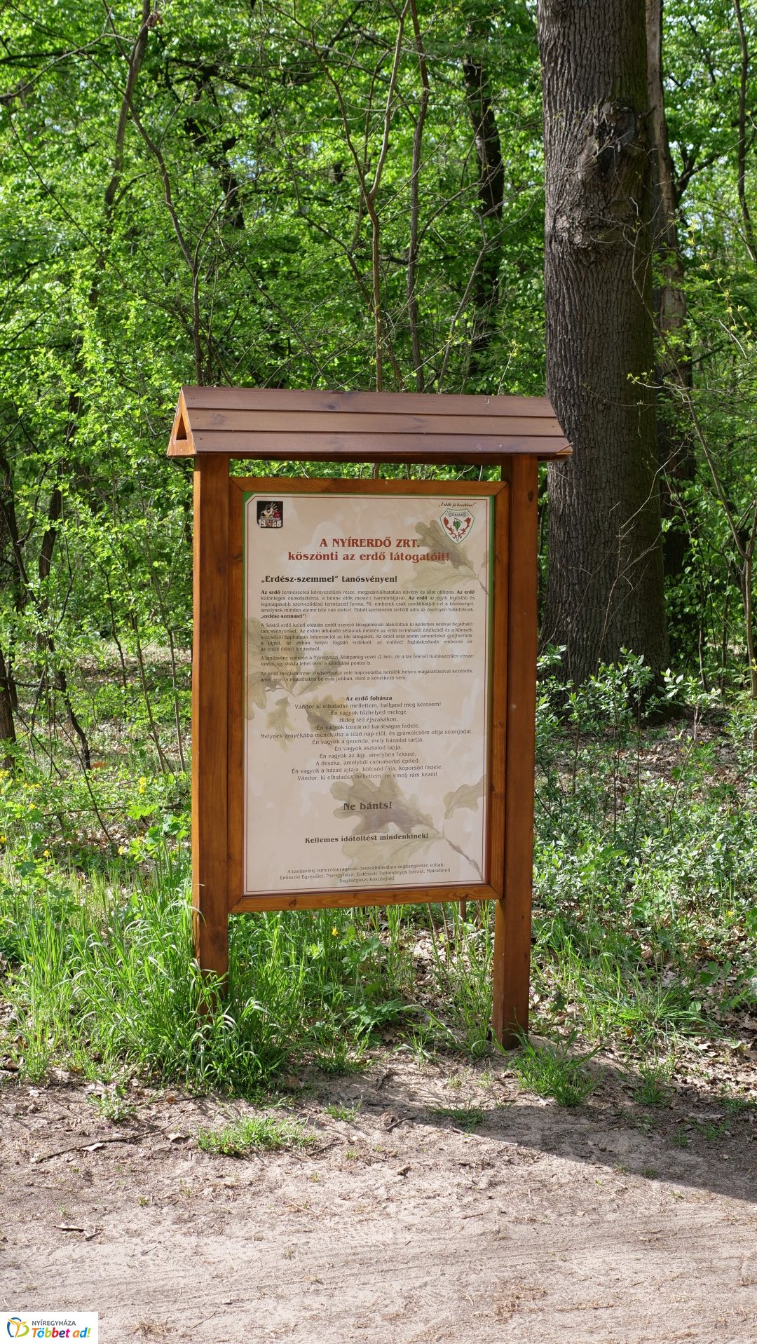 Így készült az Erdei sétány_6