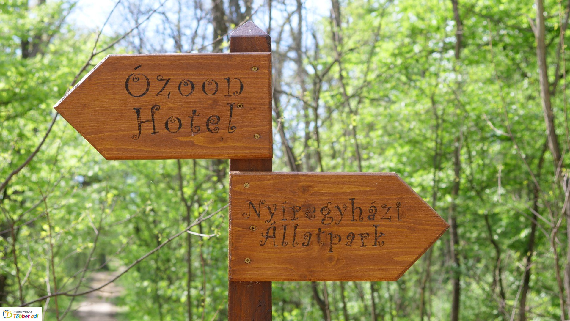 Így készült az Erdei sétány_6