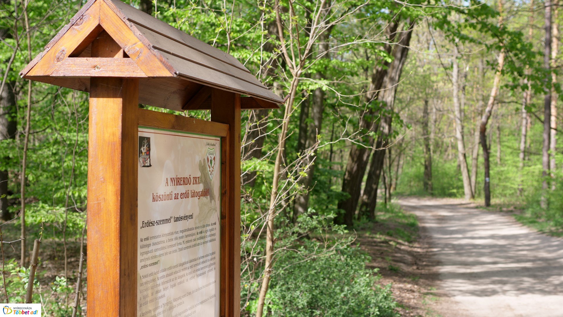 Így készült az Erdei sétány_6