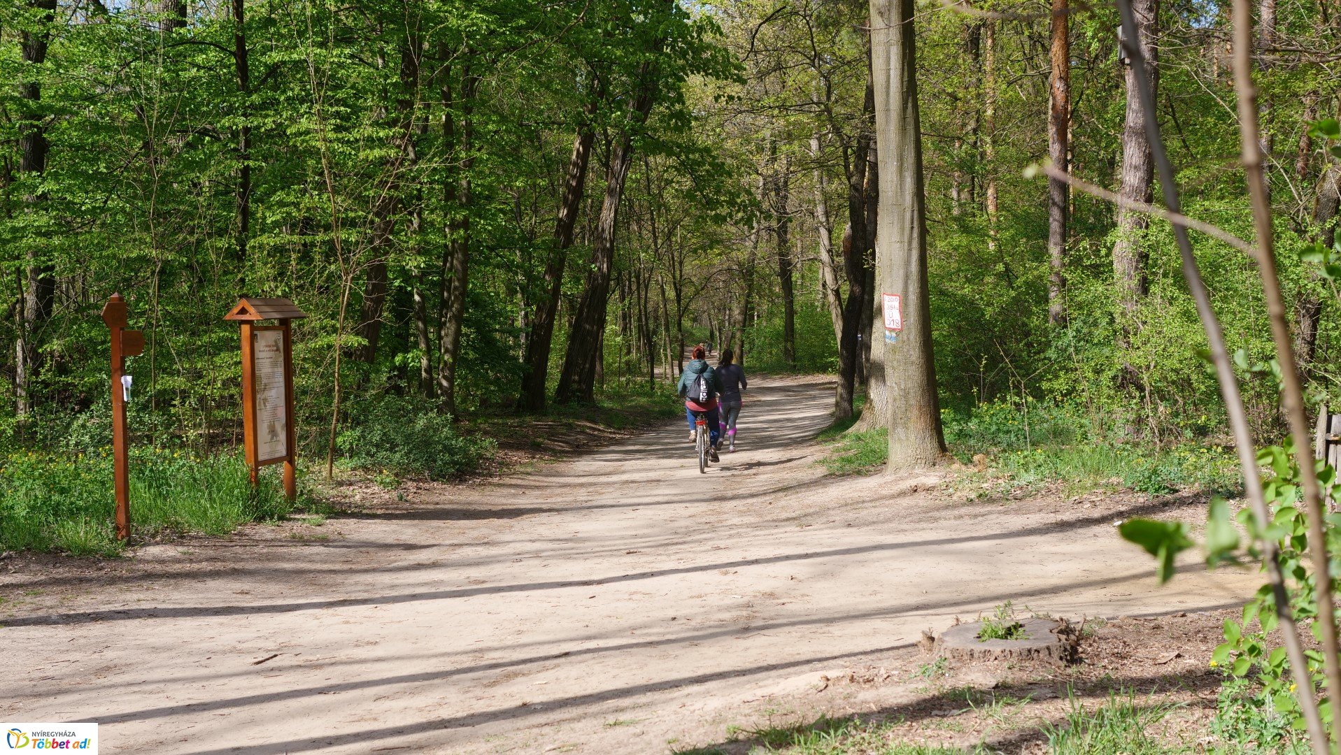 Így készült az Erdei sétány_6