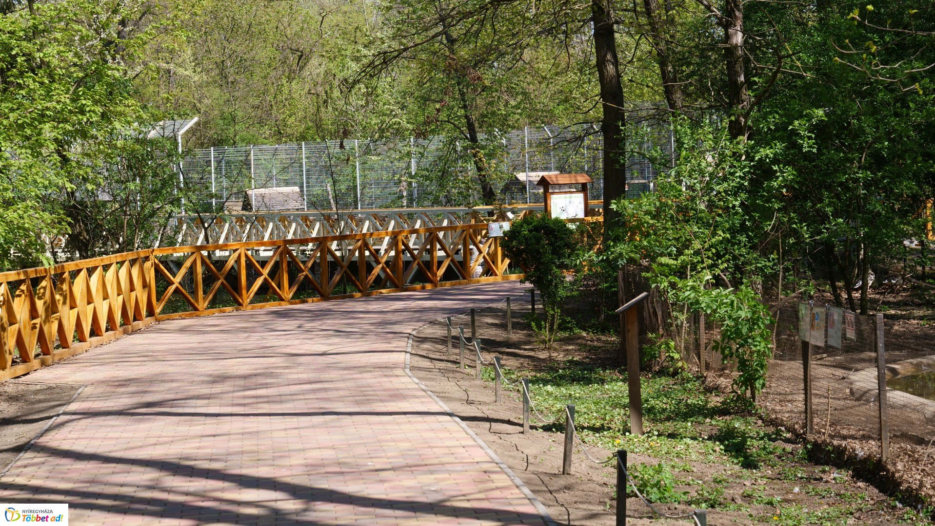 Így készült az Erdei sétány_6