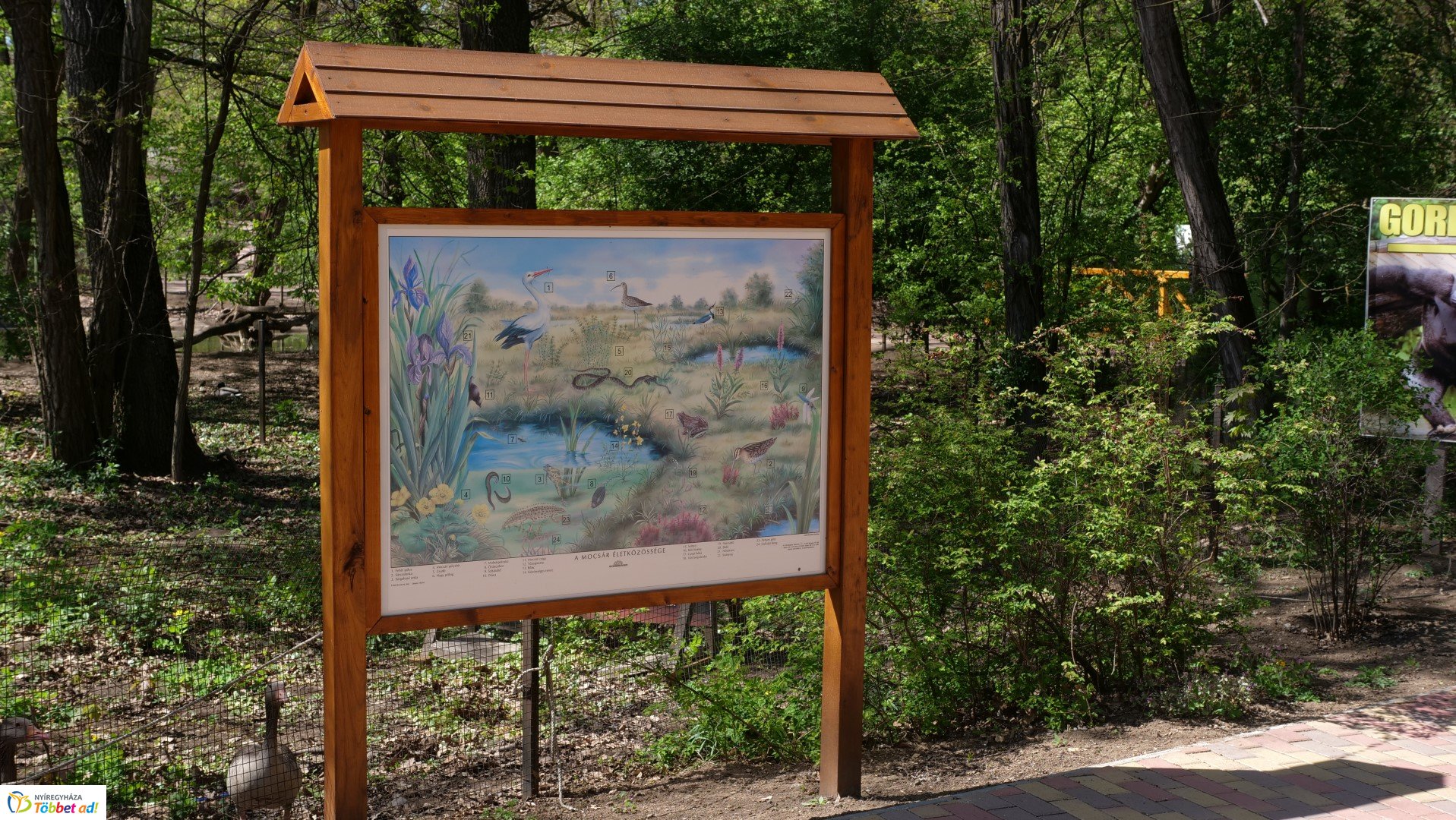 Így készült az Erdei sétány_6