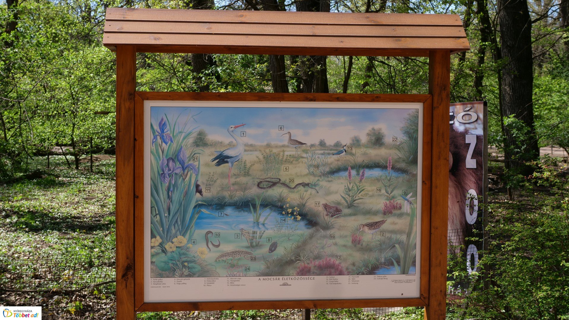 Így készült az Erdei sétány_6