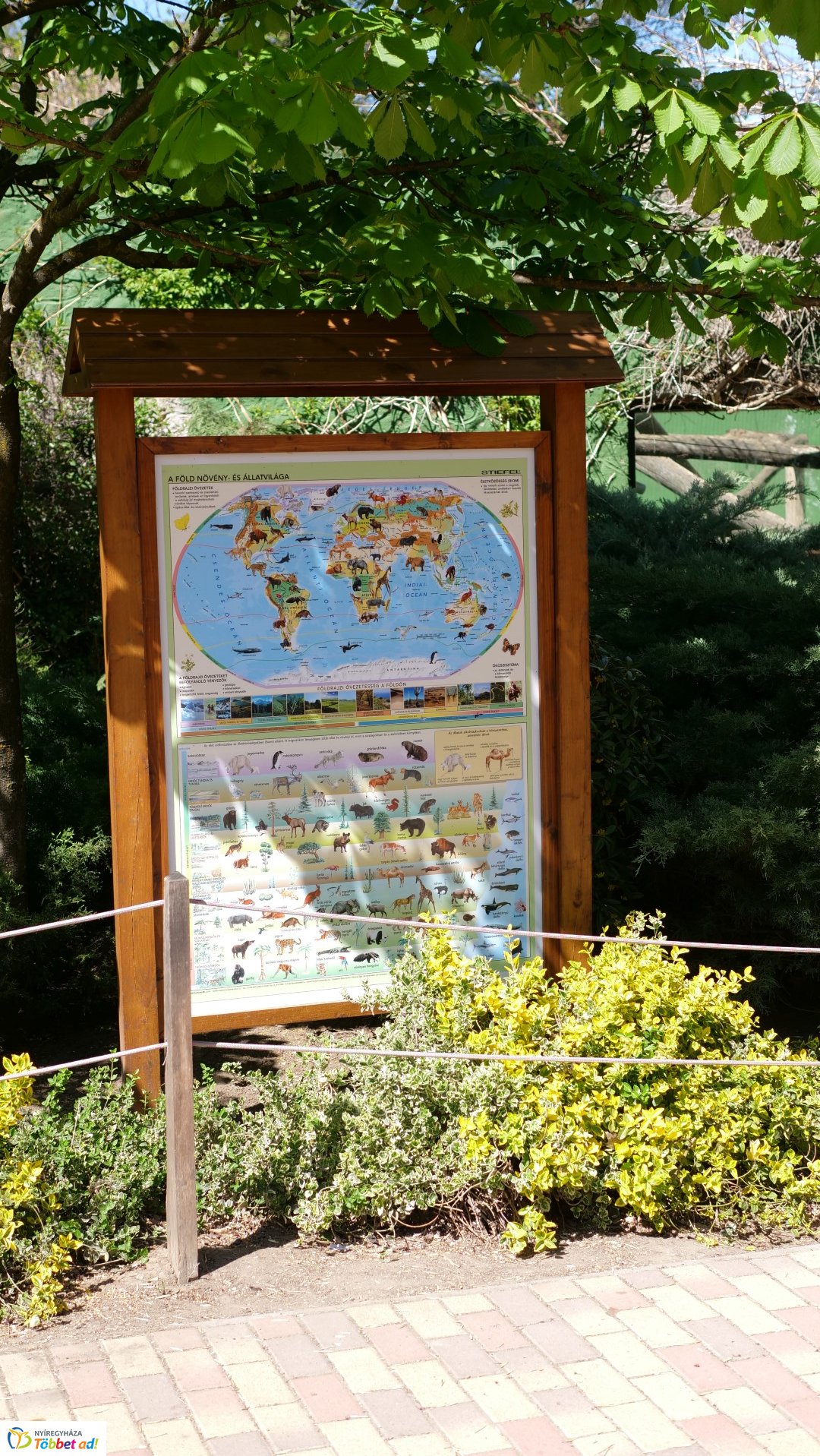 Így készült az Erdei sétány_6