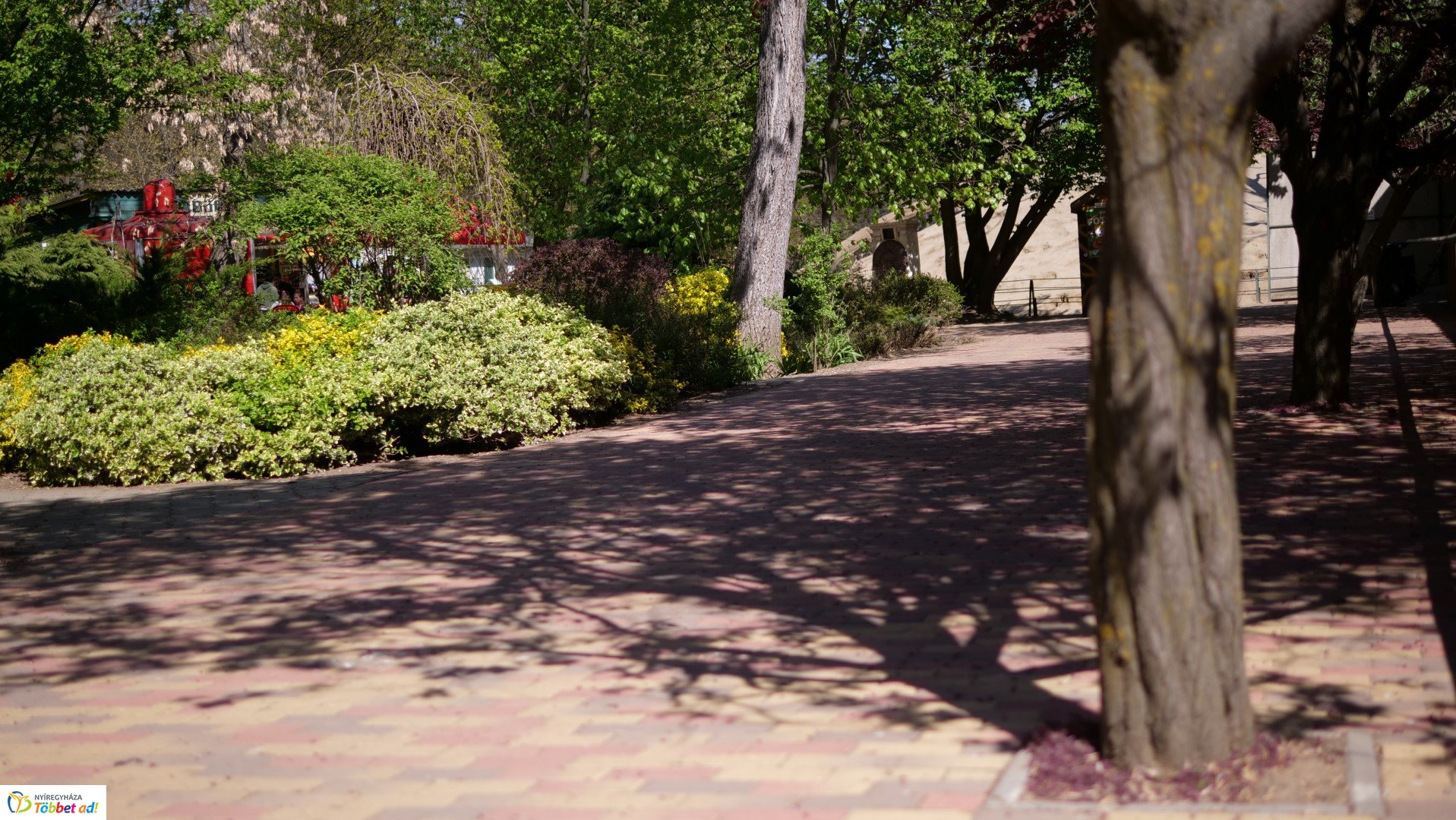 Így készült az Erdei sétány_6