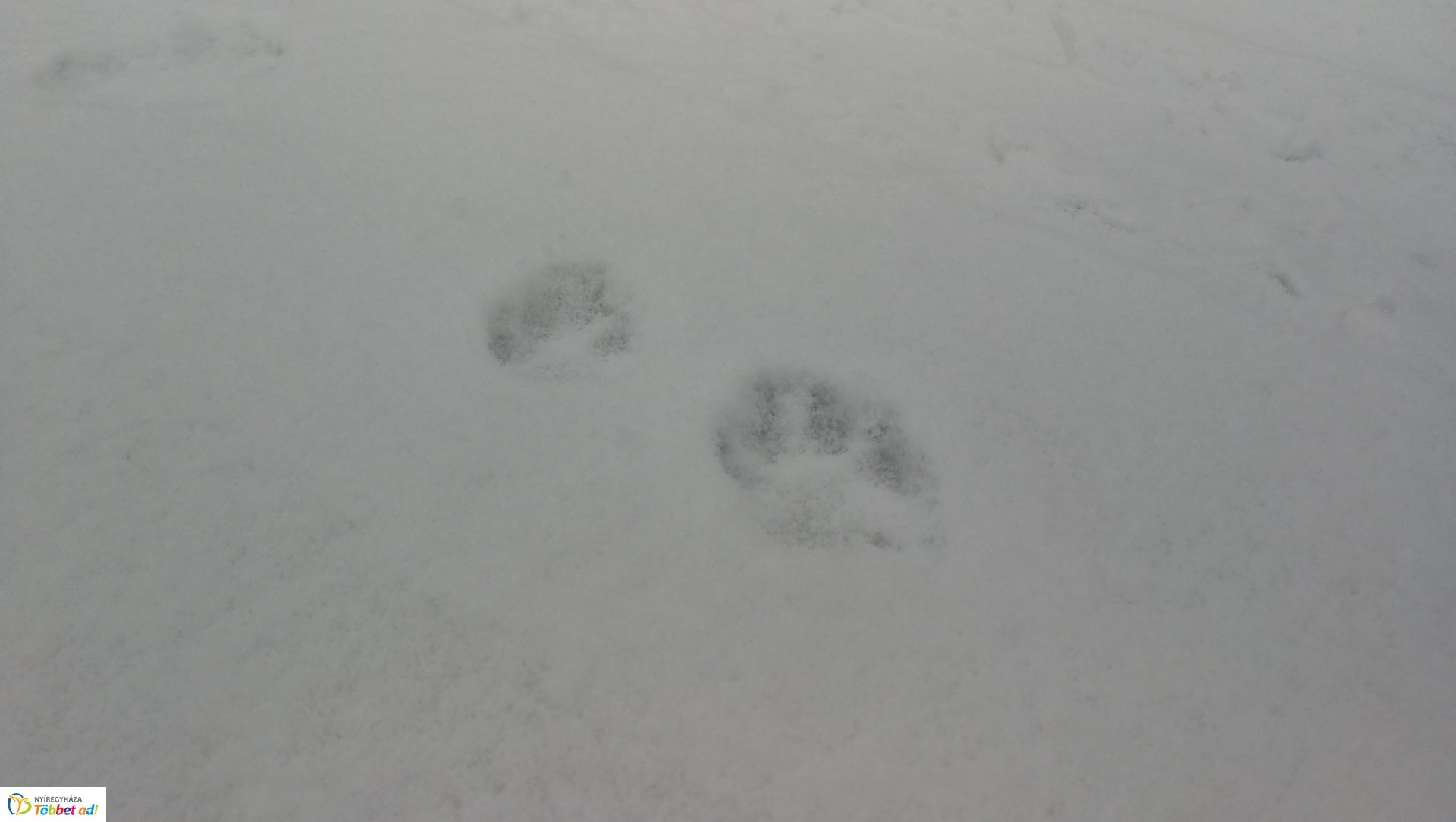 Így néz ki városunk az első hó lehullását követően – egyszerűen gyönyörű!