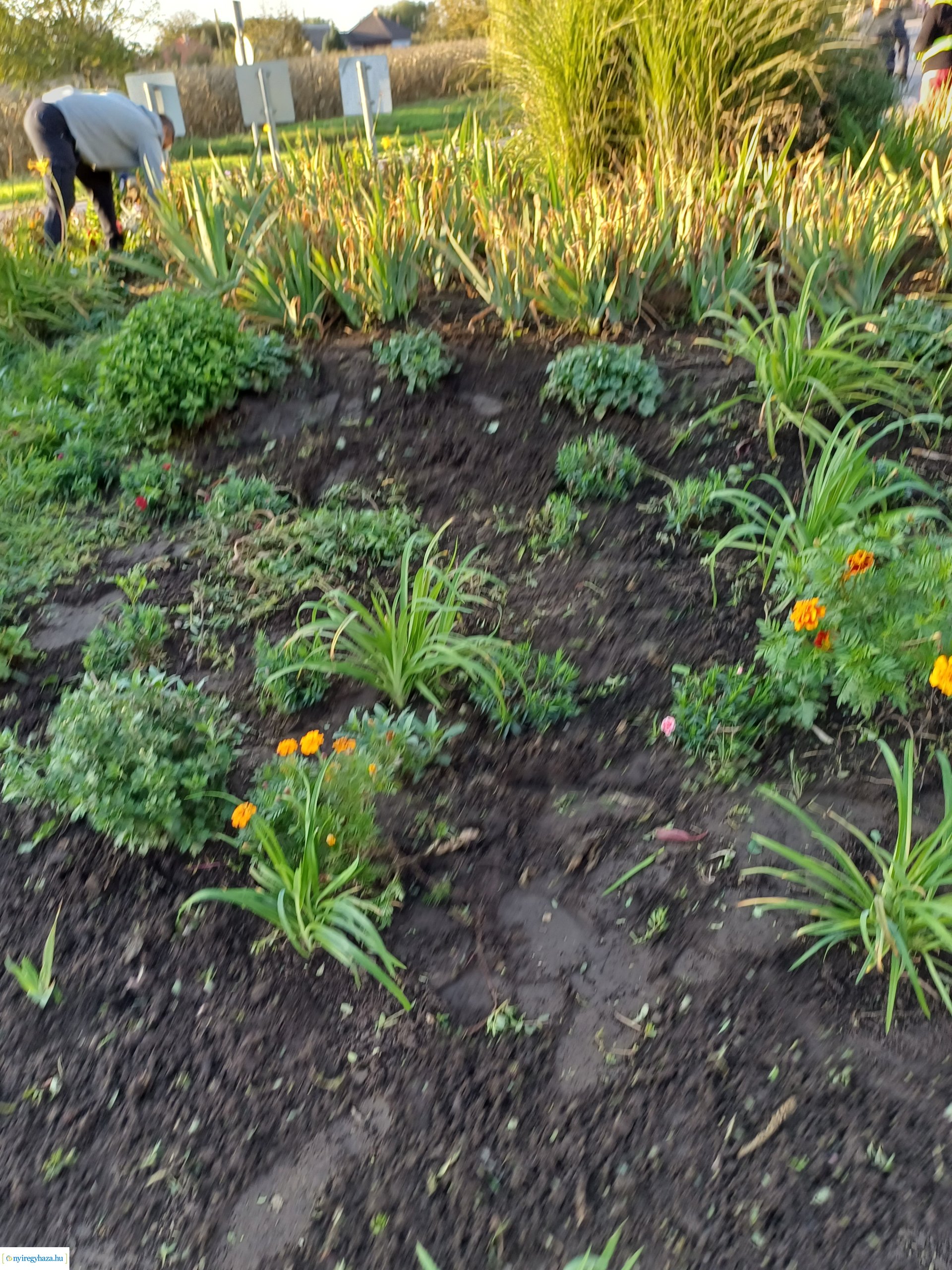 Így szépült meg az orosi körforgalom