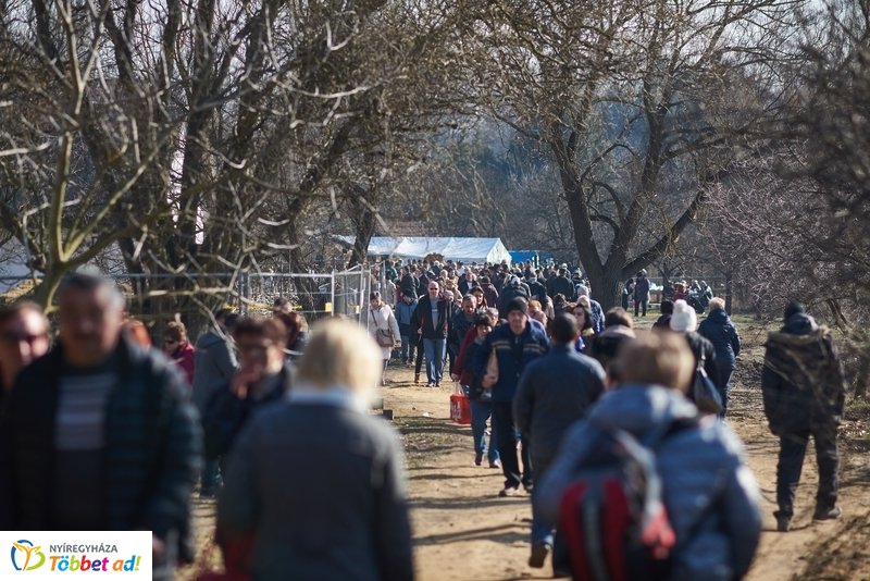 II Disznótoros Fesztivál 2019 1 