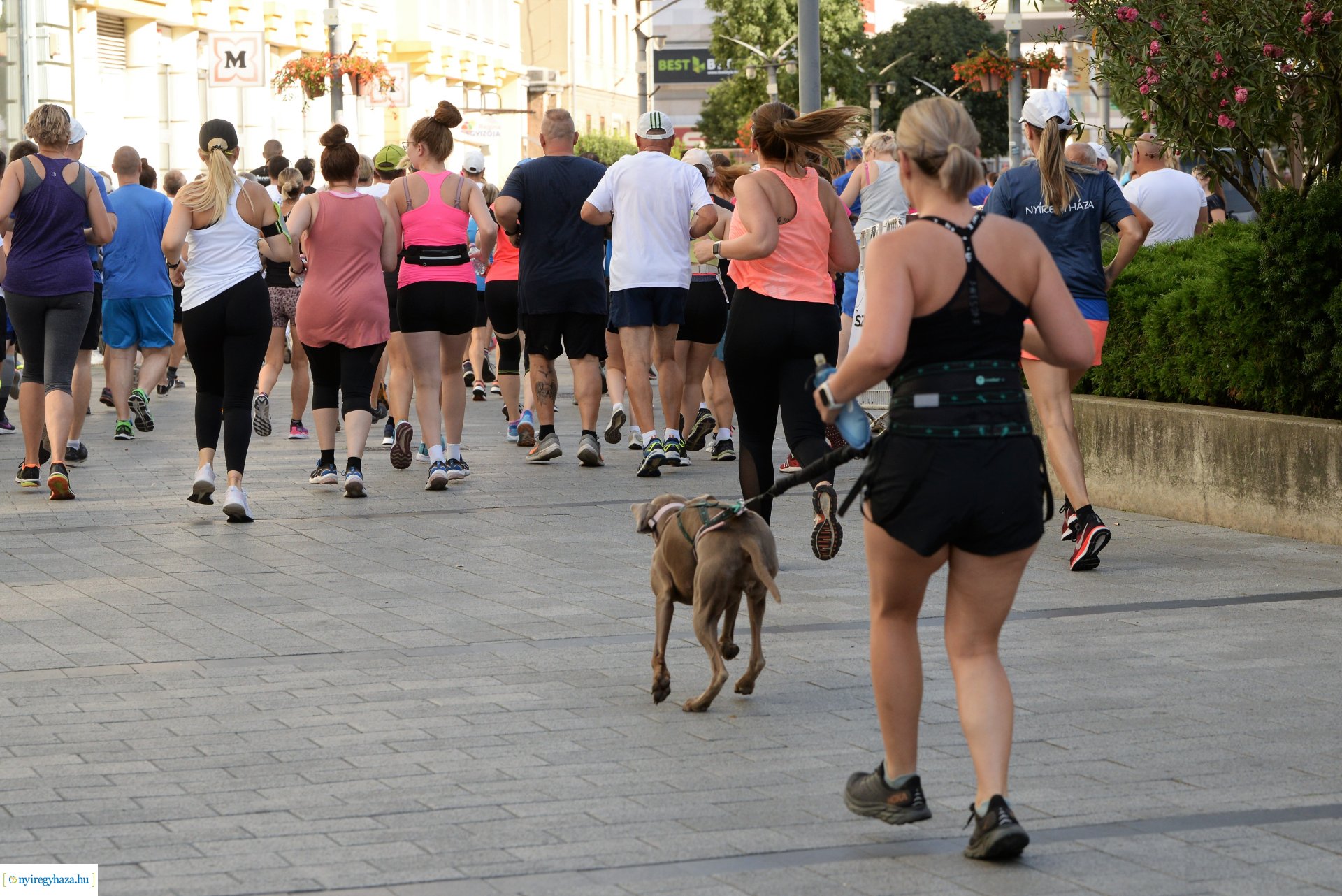 III. Nyíregyházi Futófesztivál