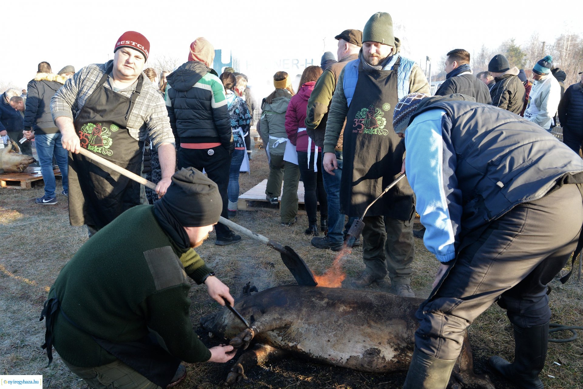 III. Nyírségi  Disznótoros Fesztivál - disznóvágás