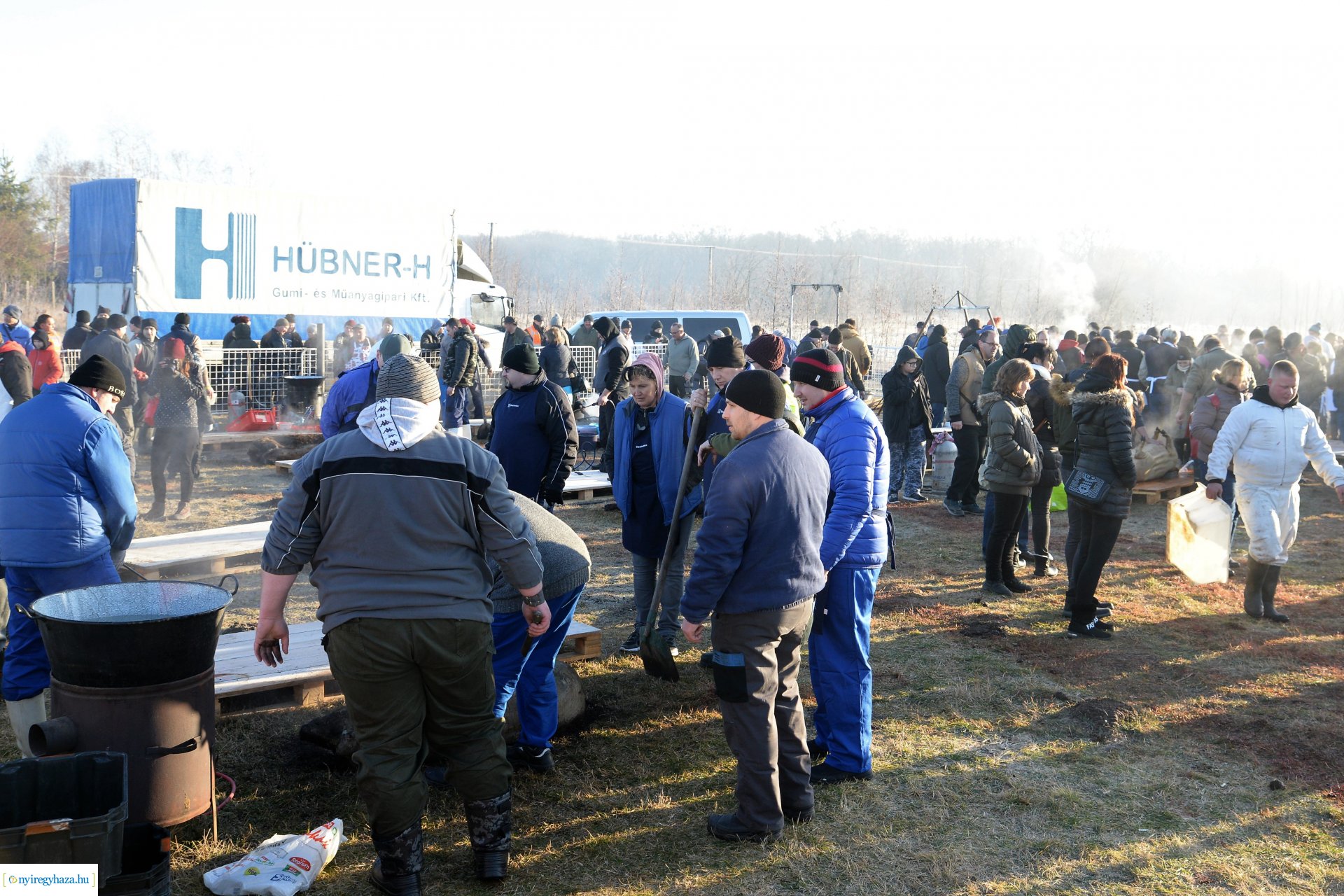 III. Nyírségi  Disznótoros Fesztivál - disznóvágás