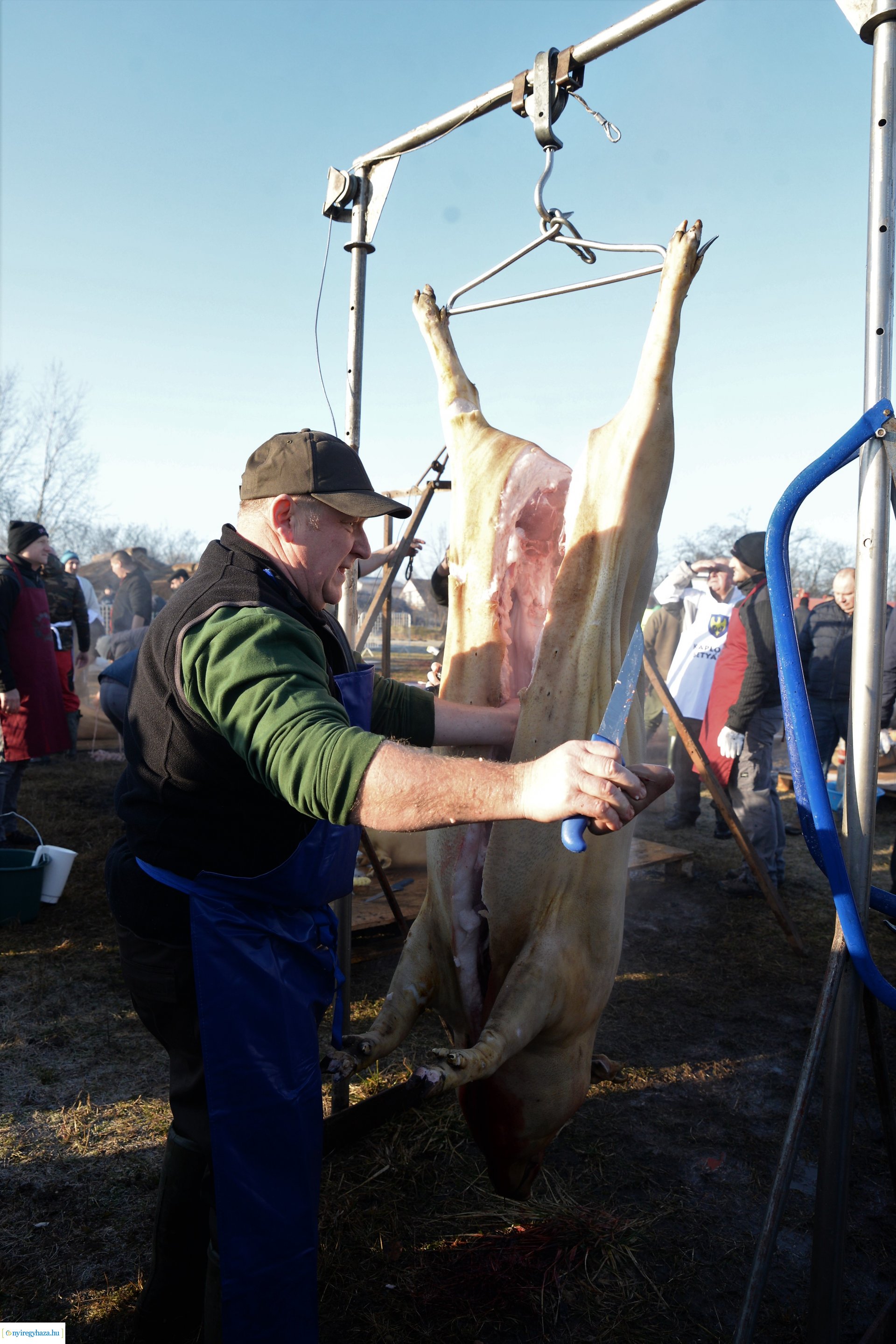 III. Nyírségi  Disznótoros Fesztivál - disznóvágás