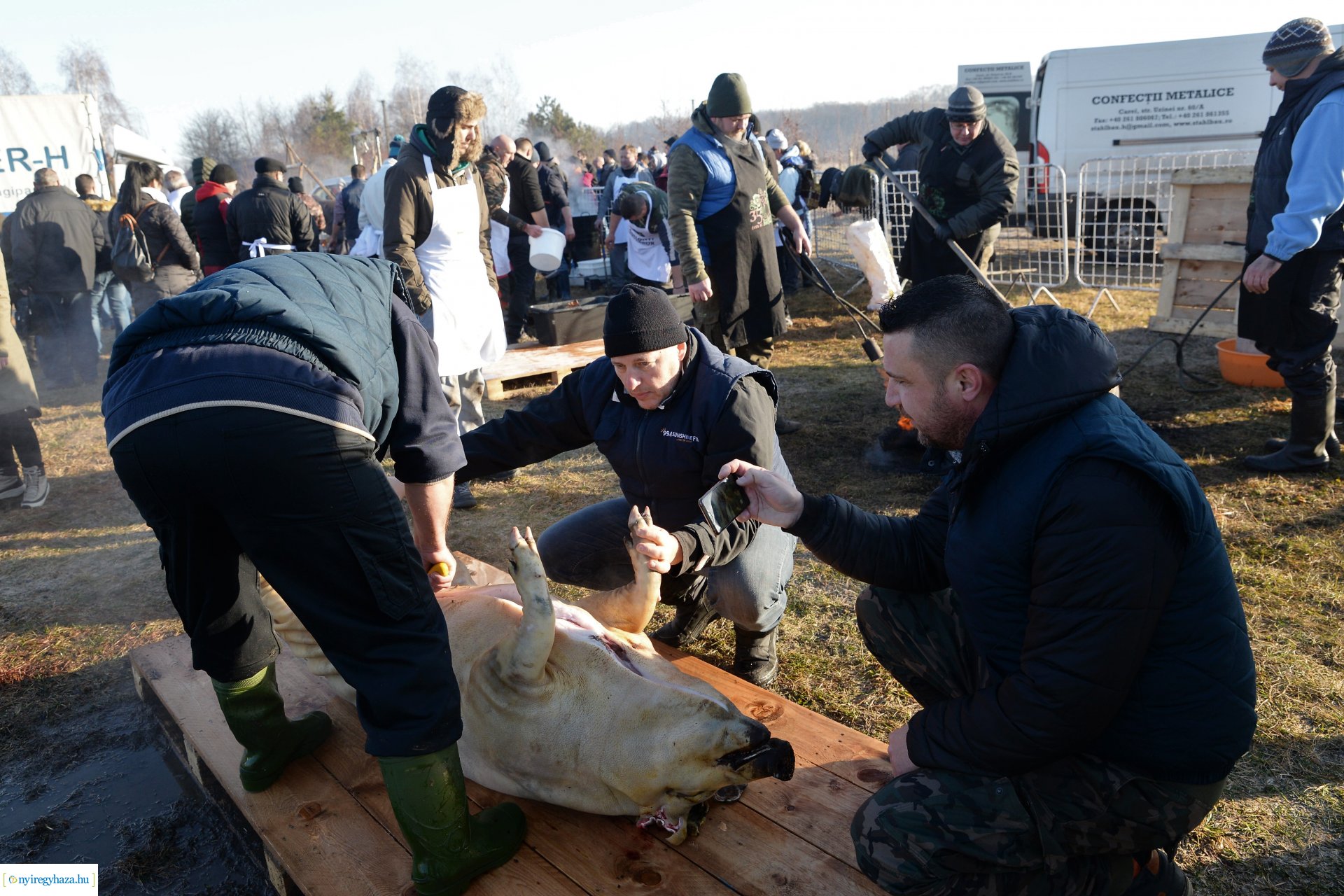 III. Nyírségi  Disznótoros Fesztivál - disznóvágás
