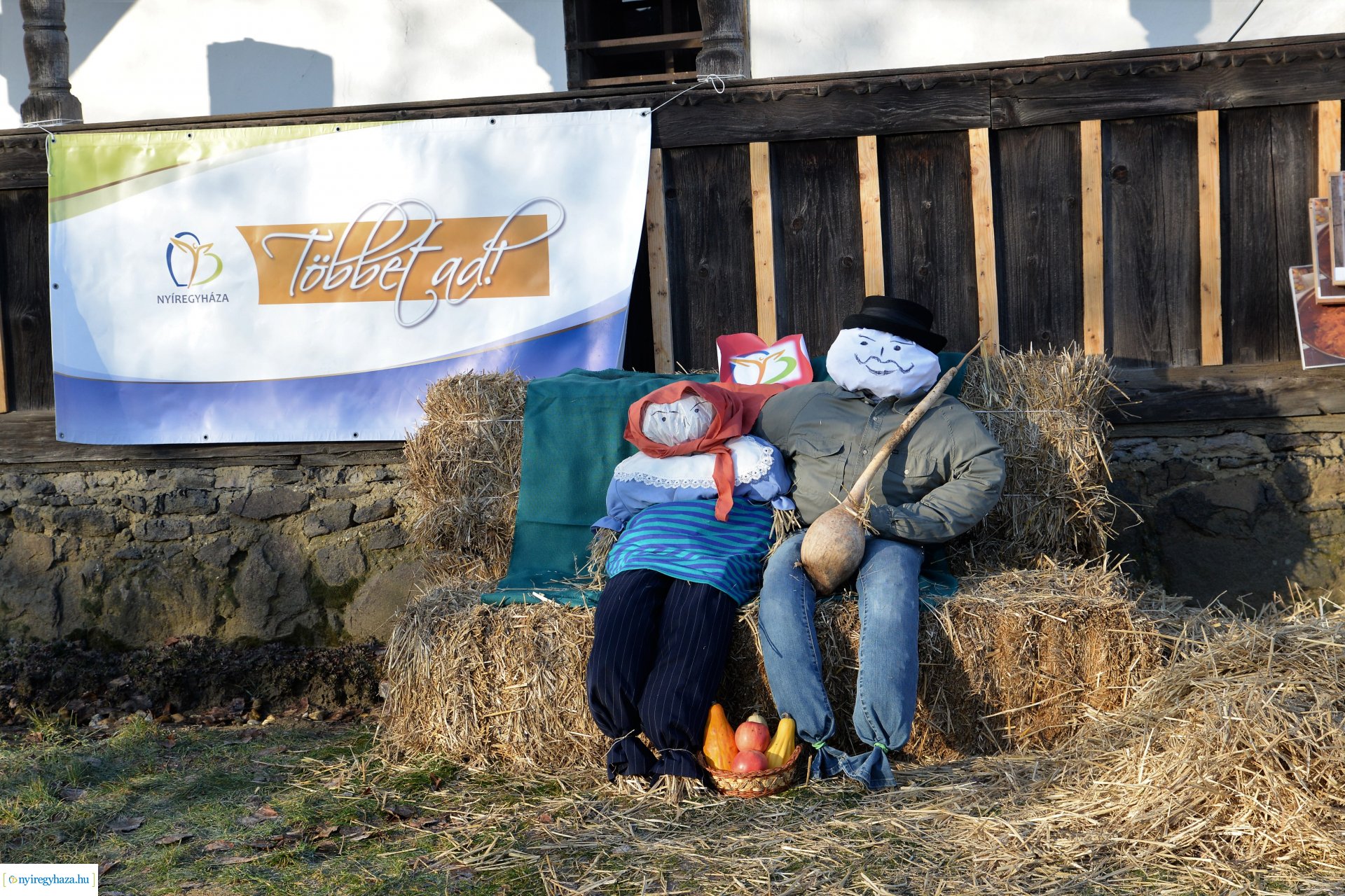 III. Nyírségi  Disznótoros Fesztivál - disznóvágás