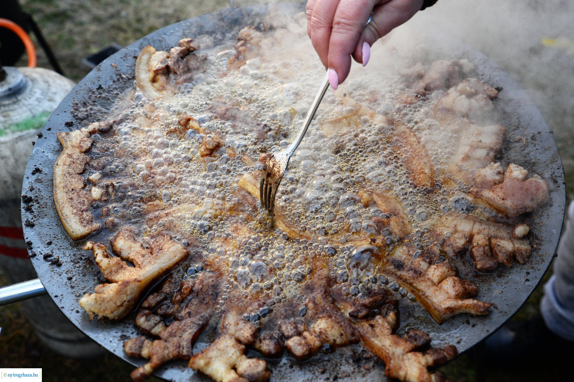 III. Nyírségi  Disznótoros Fesztivál - disznóvágás