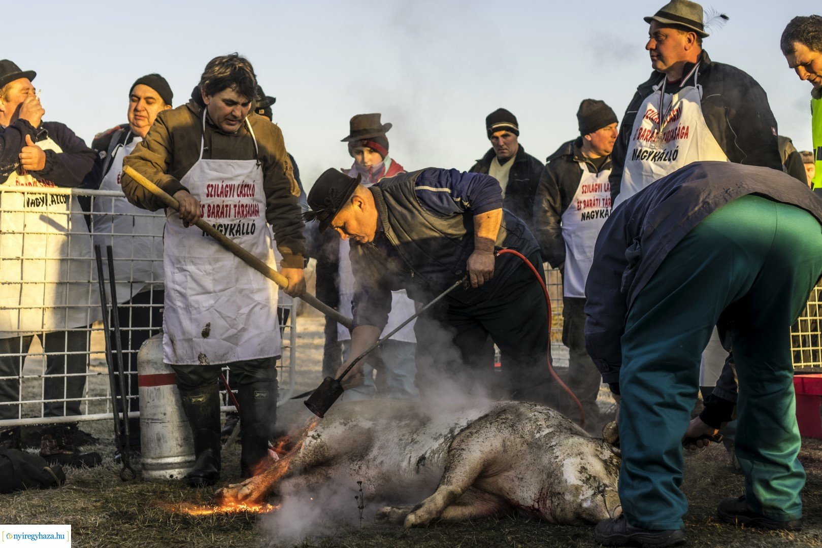 III. Nyírségi Disznótoros Fesztivál első nap
