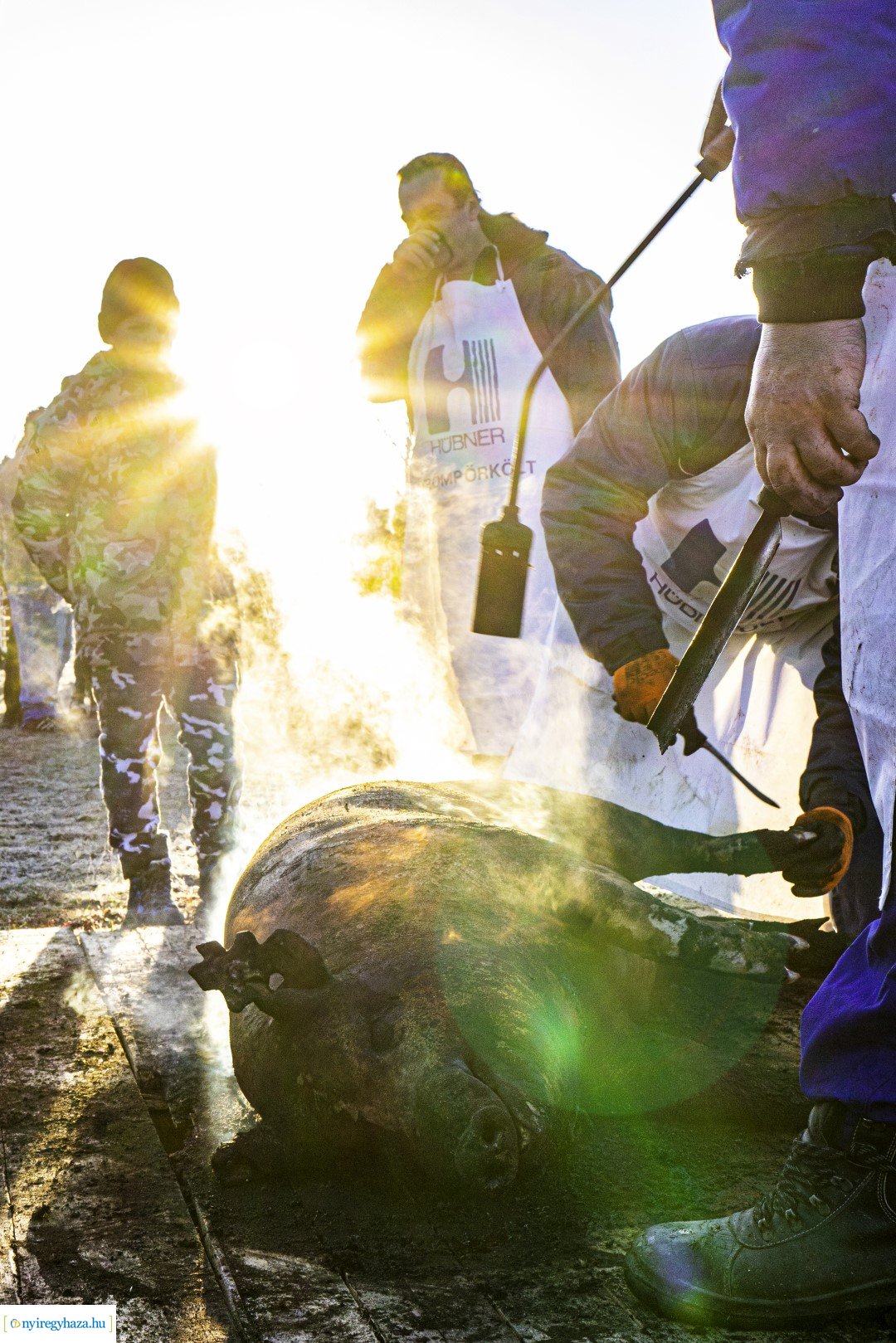 III. Nyírségi Disznótoros Fesztivál első nap